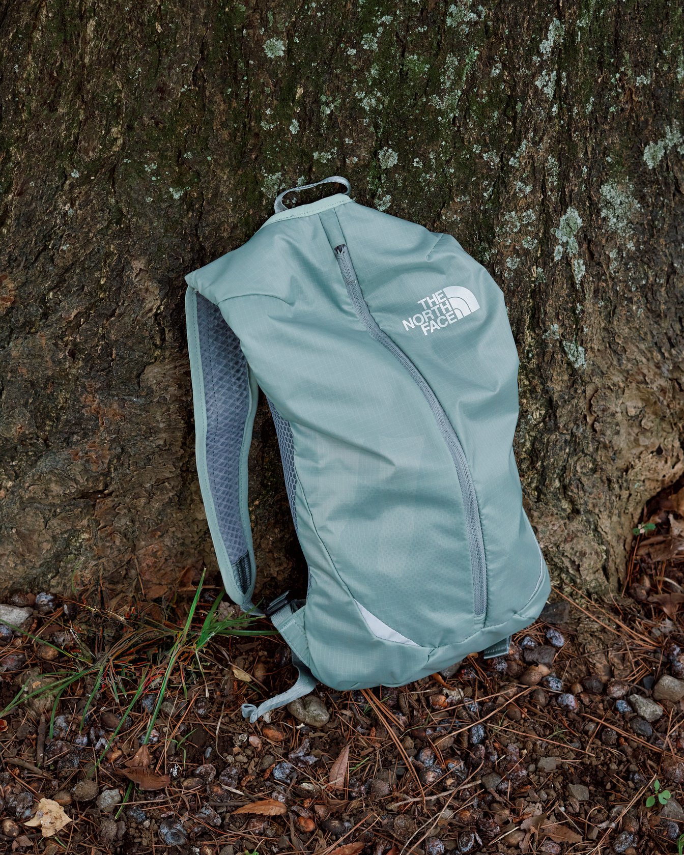����?�Ω`��?�ե�������THE NORTH FACE�����Υ��˥󥰥ѥå�