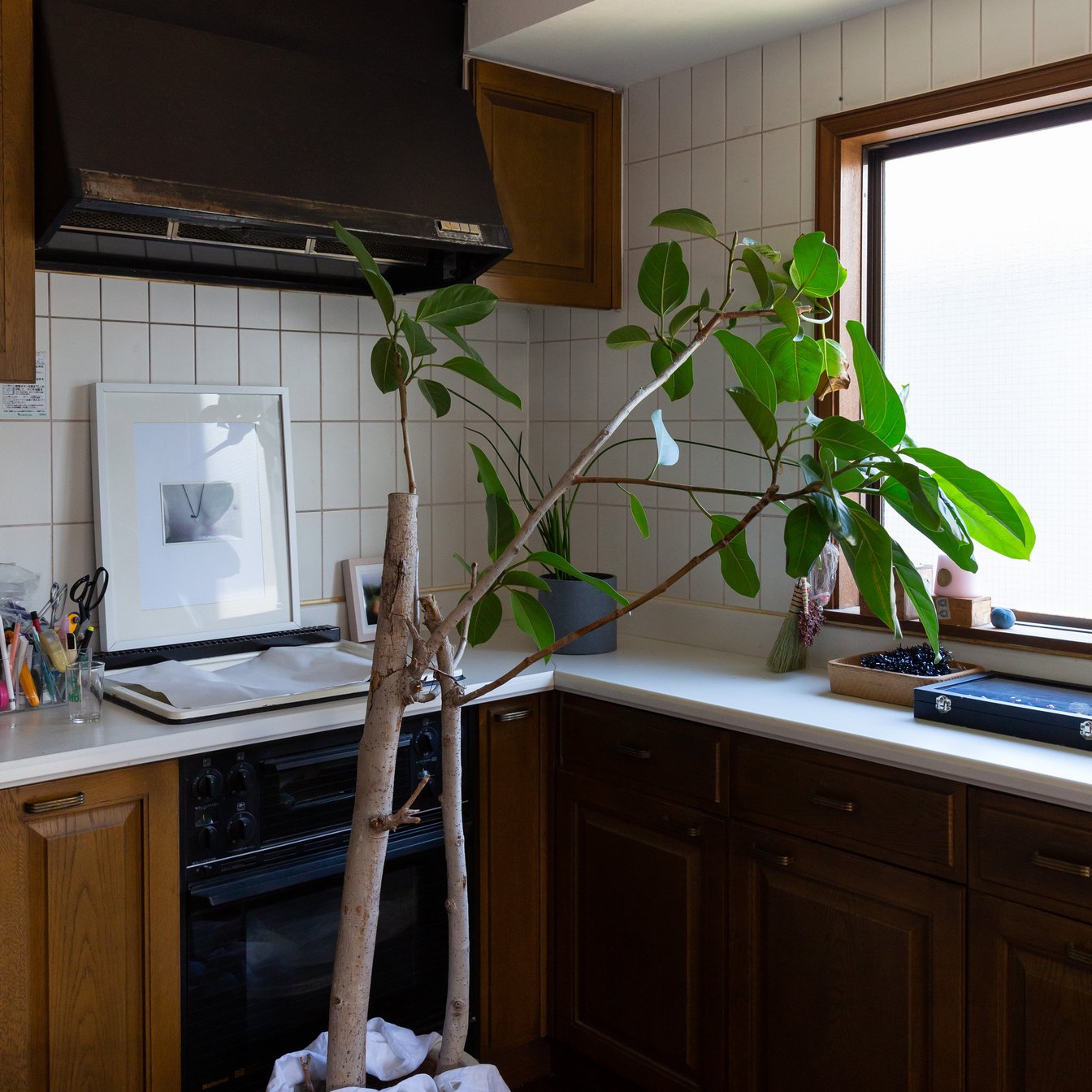 アカネウツノミヤ　アトリエ