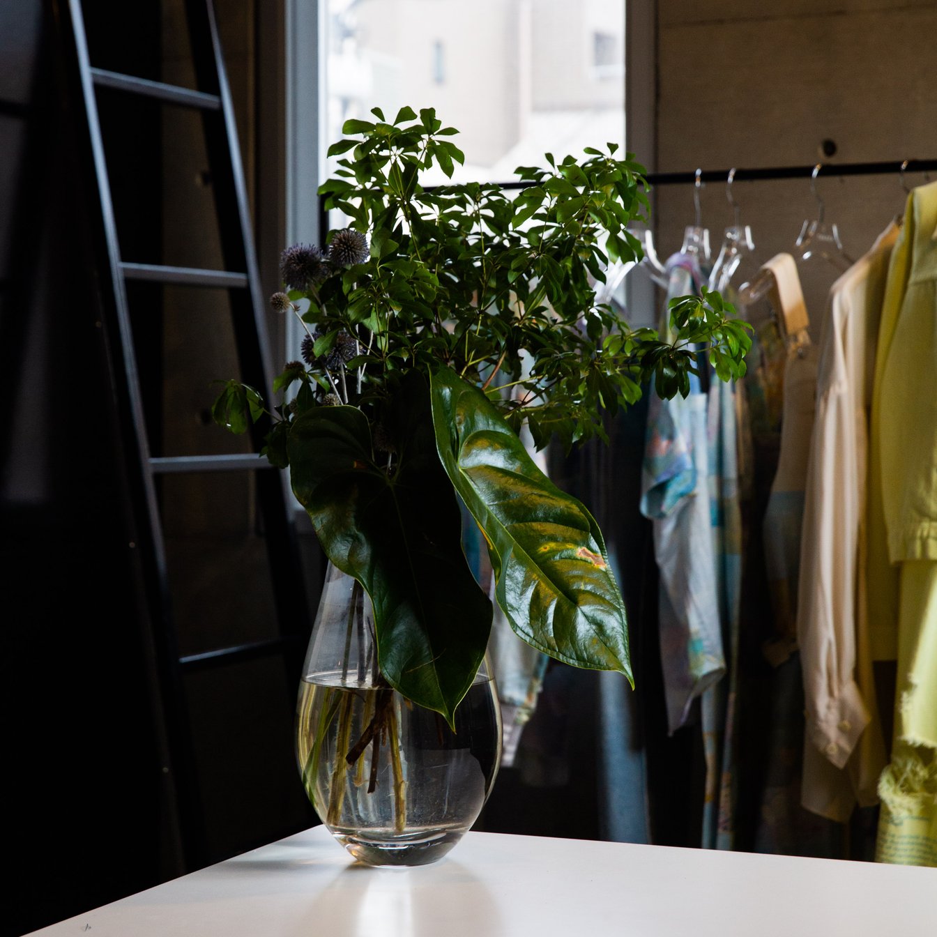 アトリエに飾られた植物