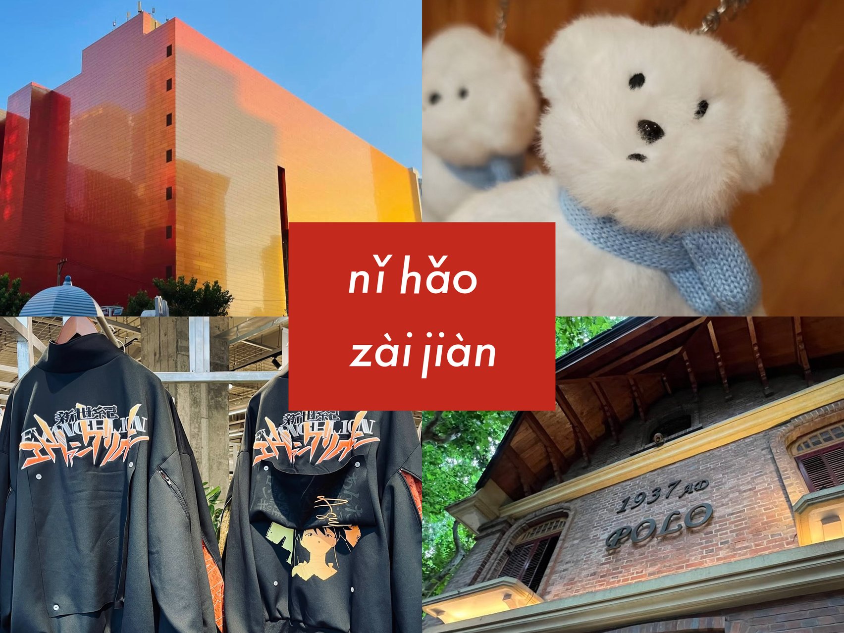 プラタナスの街路樹