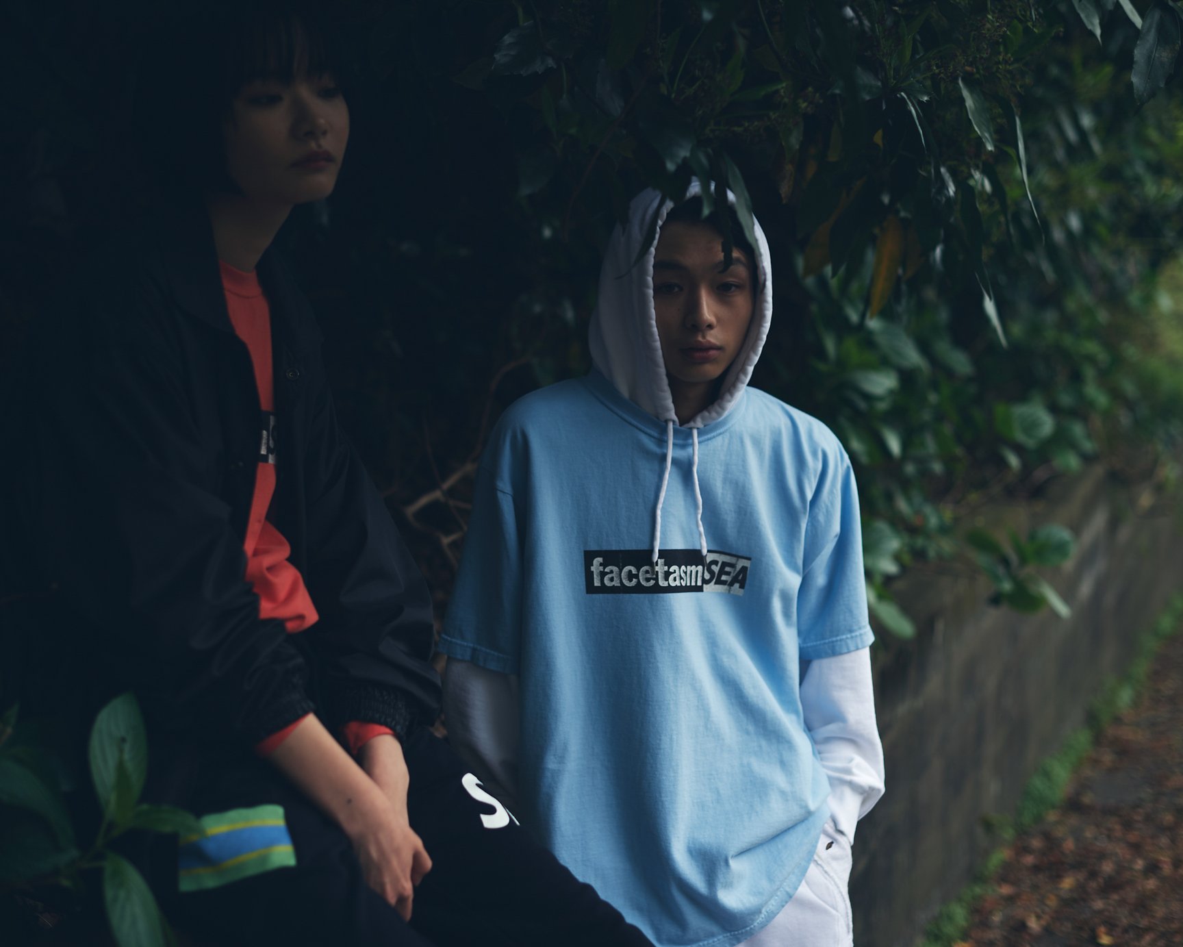 ウィンダンシー ファセッタズム ロゴ