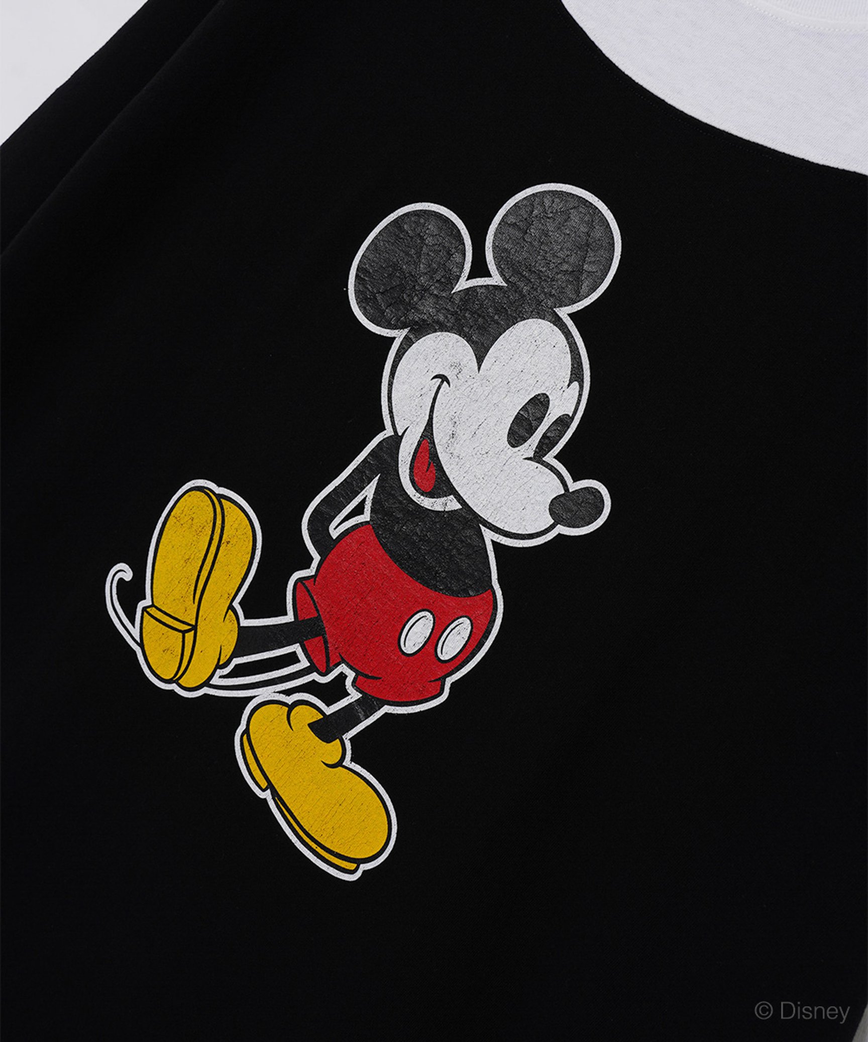 ファセッタズム ディズニーカプセルコレクションのアイテム
