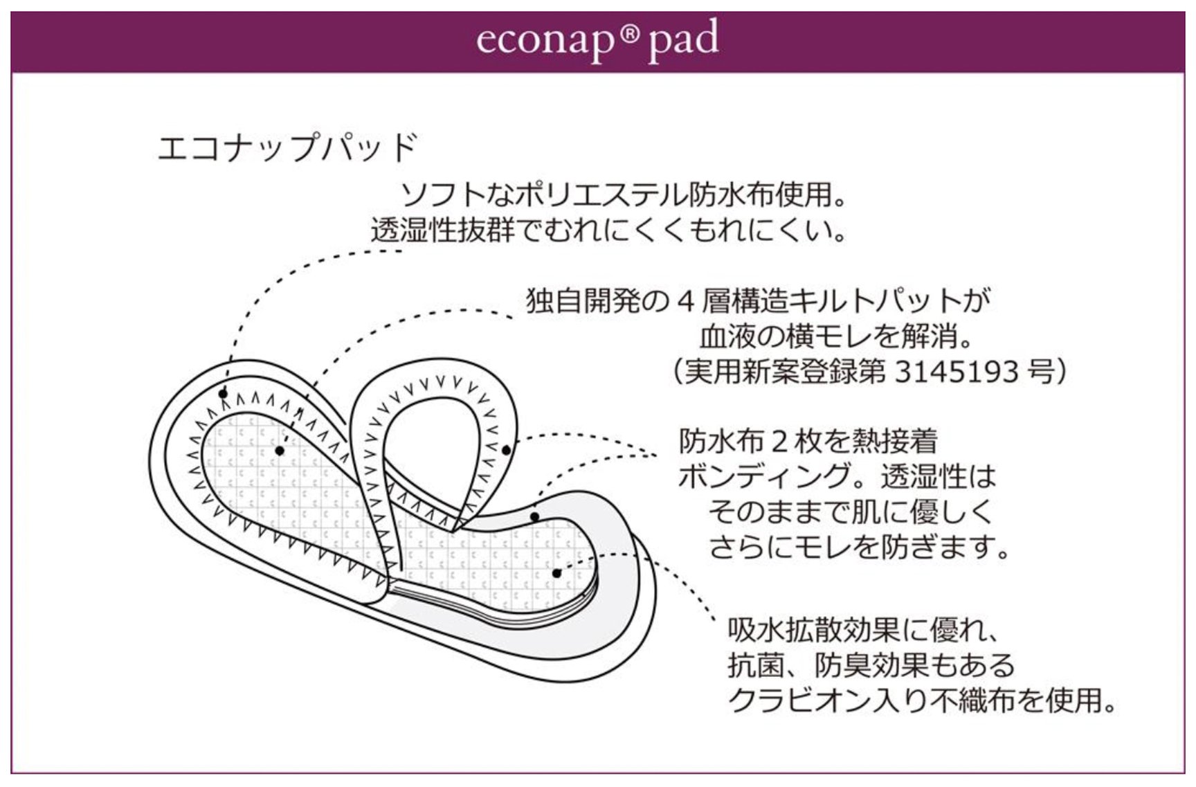 吸水ショーツ　アヤメ
