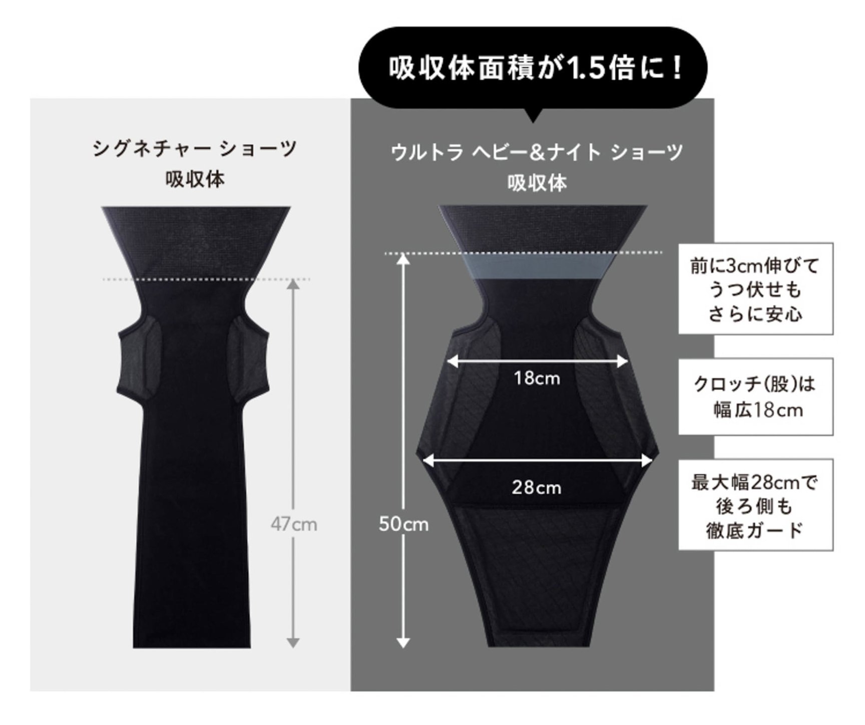 ベア　吸水ショーツ