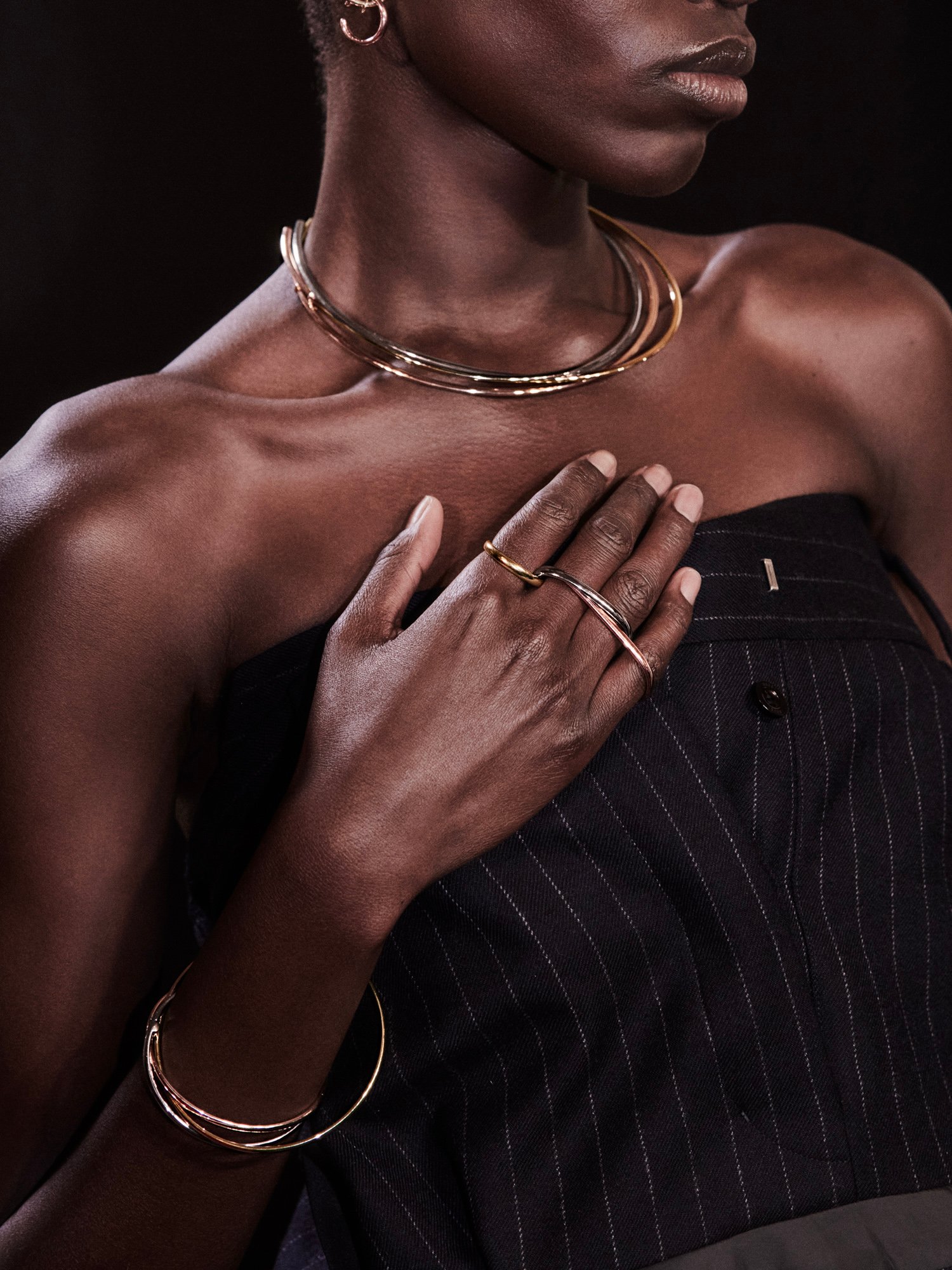 カルティエがサカイと制作した限定コレクション