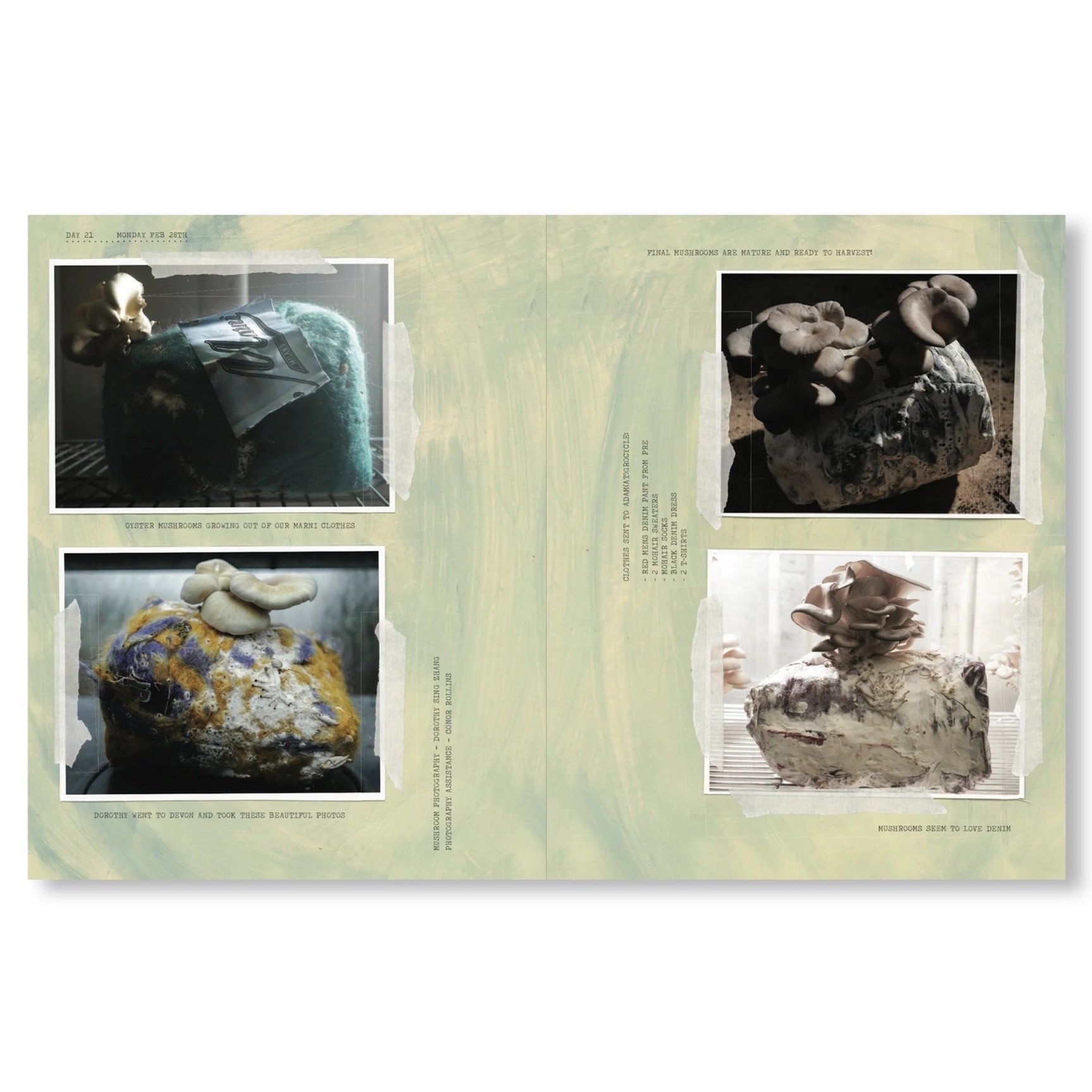 A Magazine Curated By Francesco Risso 23号