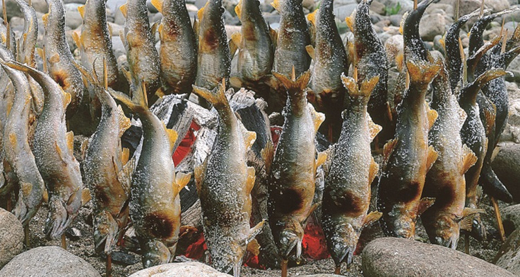フジロックの定番フェス飯まとめ