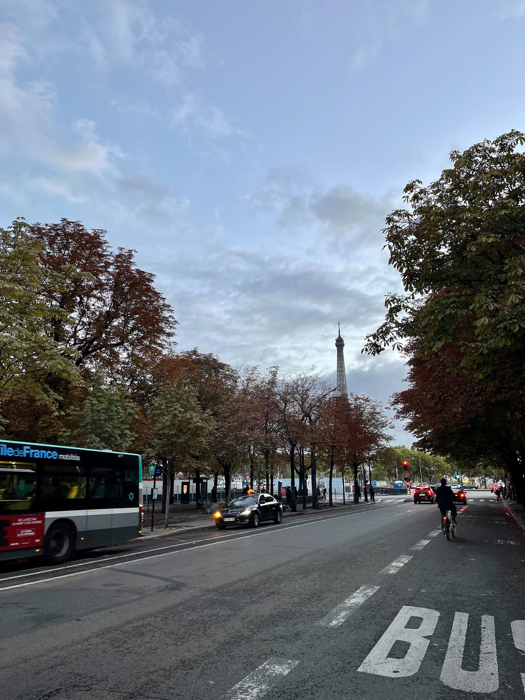 色づくマロニエの街路樹