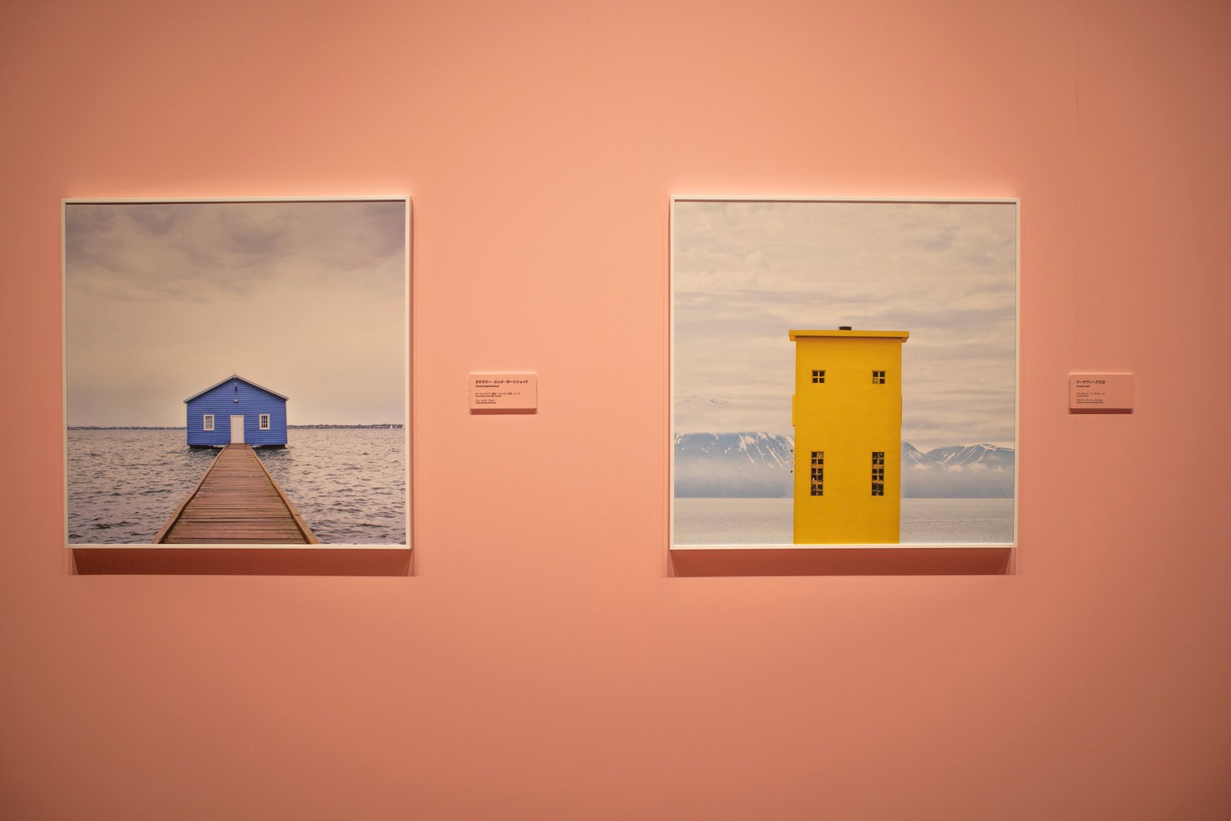 ピンクの壁にかけられた写真作品
