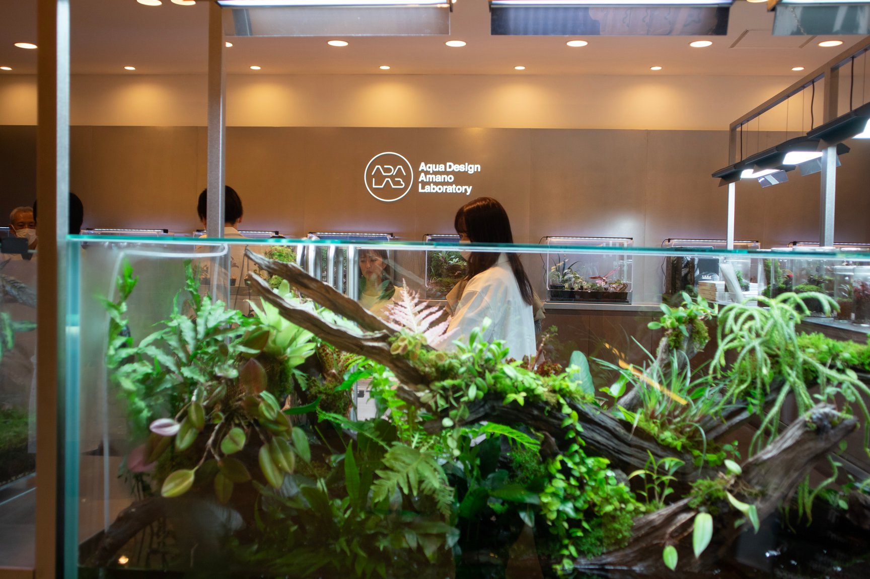 阪急うめだ本店8階の新売場「グリーンエイジ」内部