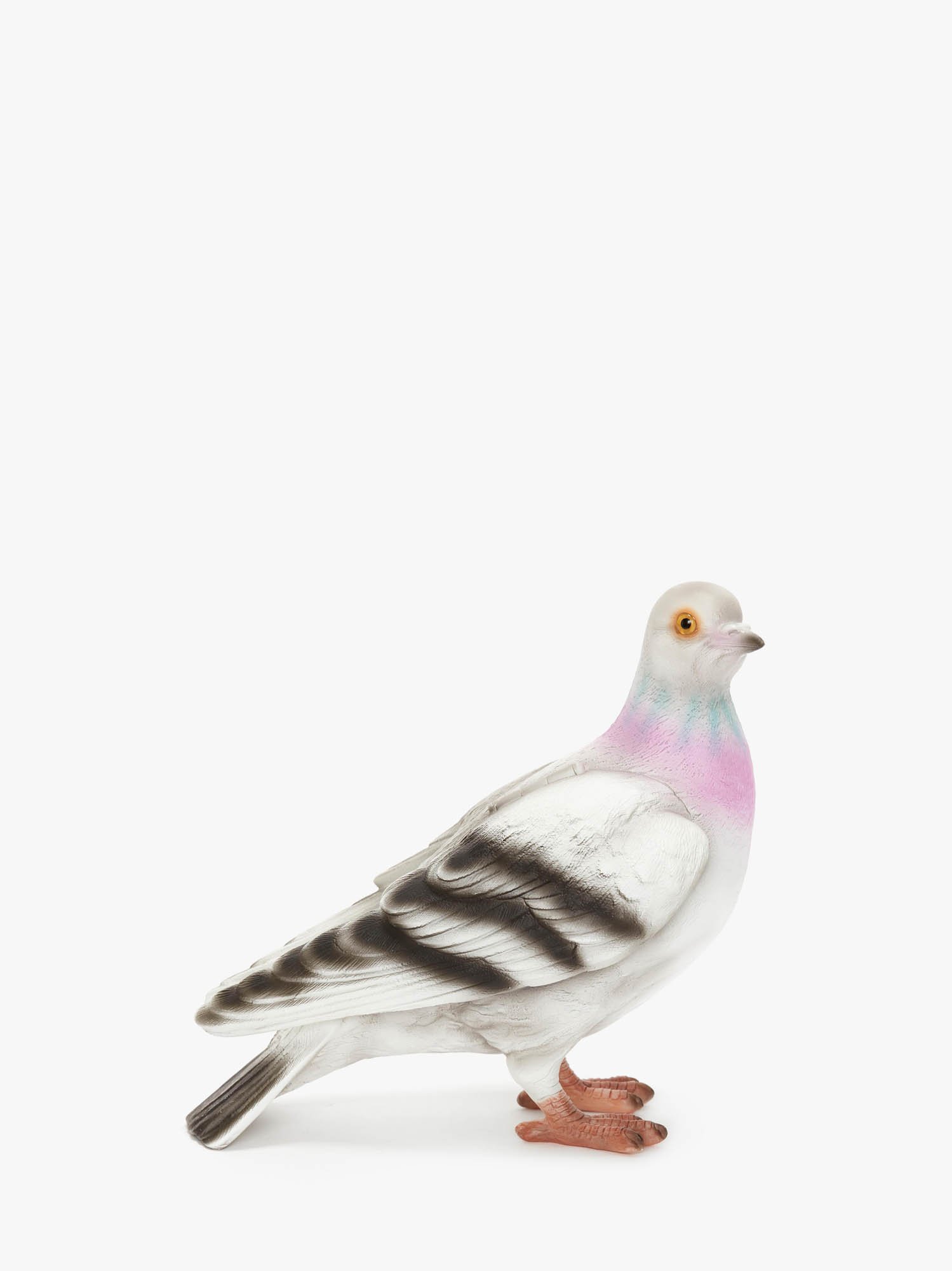 FΥåХå