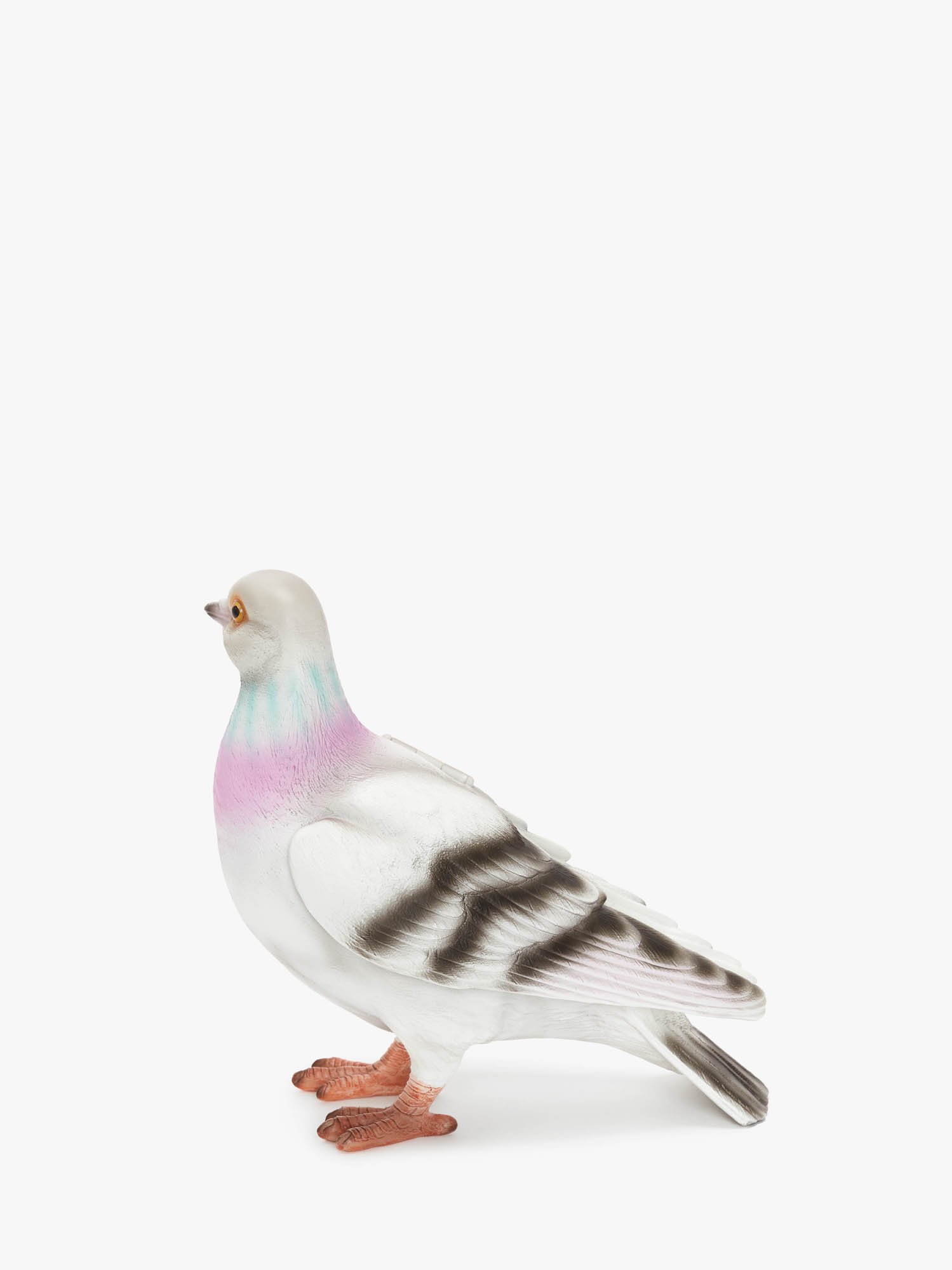 FΥåХå