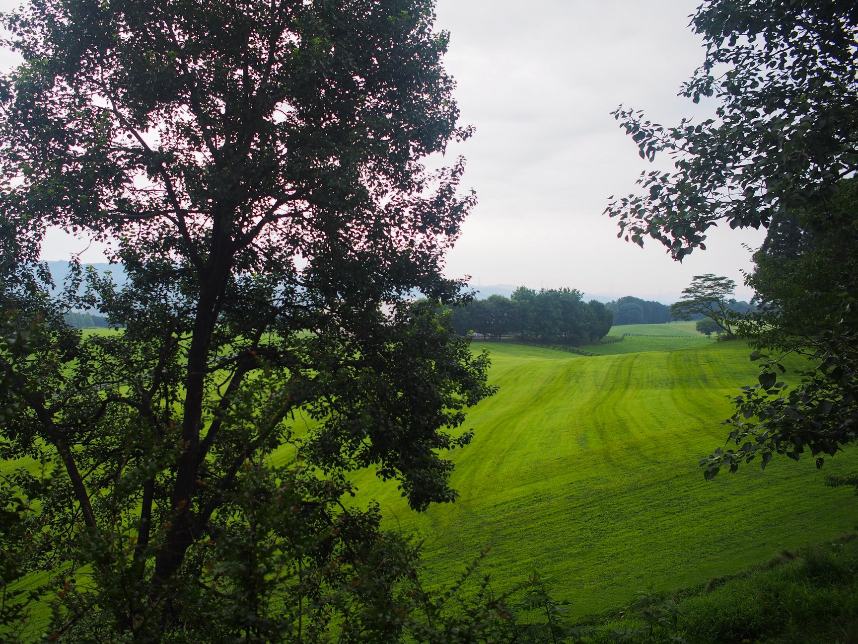 ȻФǚݳ֤ȤȤΤһ܎ҡNOT A HOTEL NASU