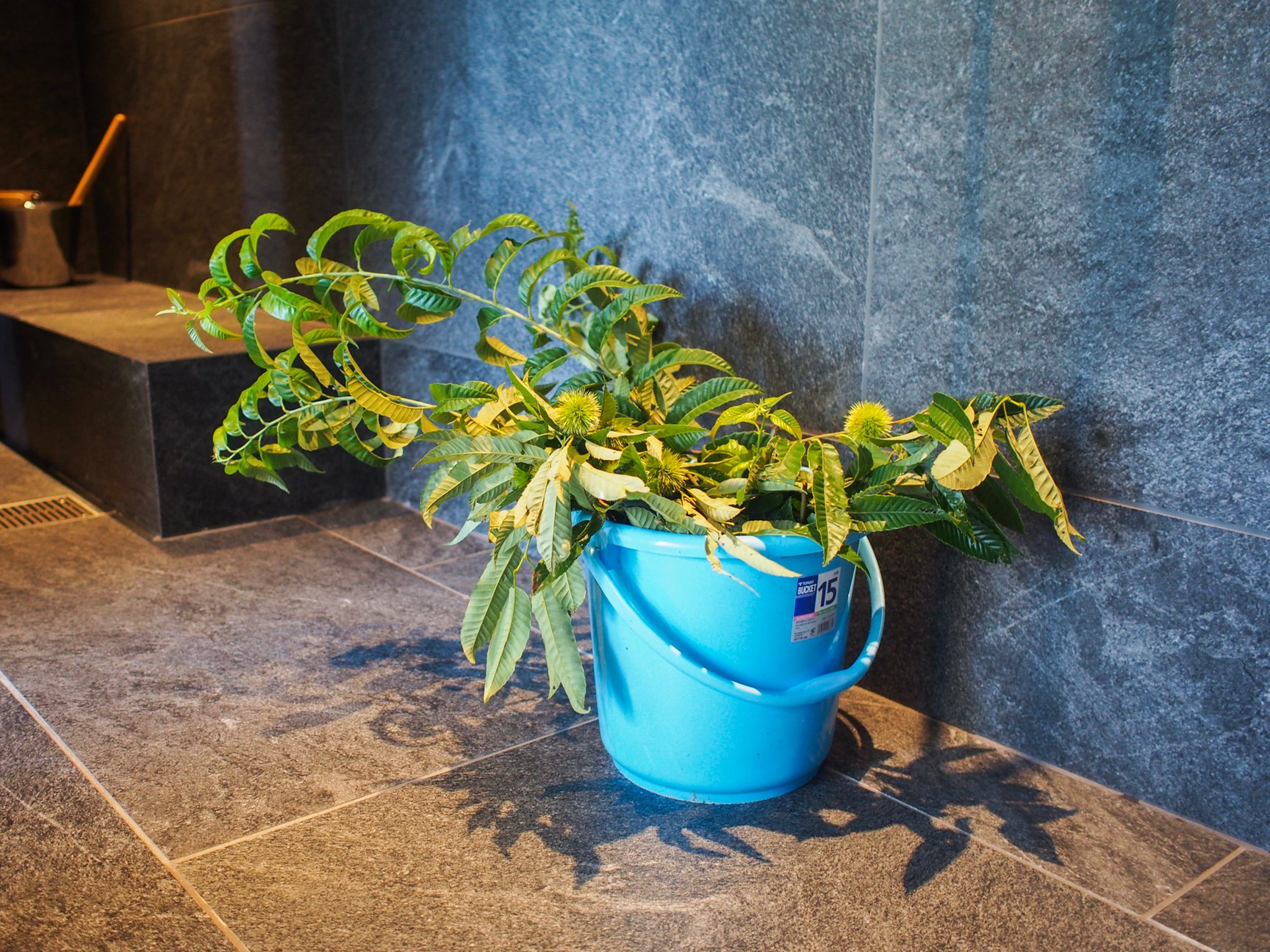 大自然の中で気持ちがととのう一軒家「NOT A HOTEL NASU」