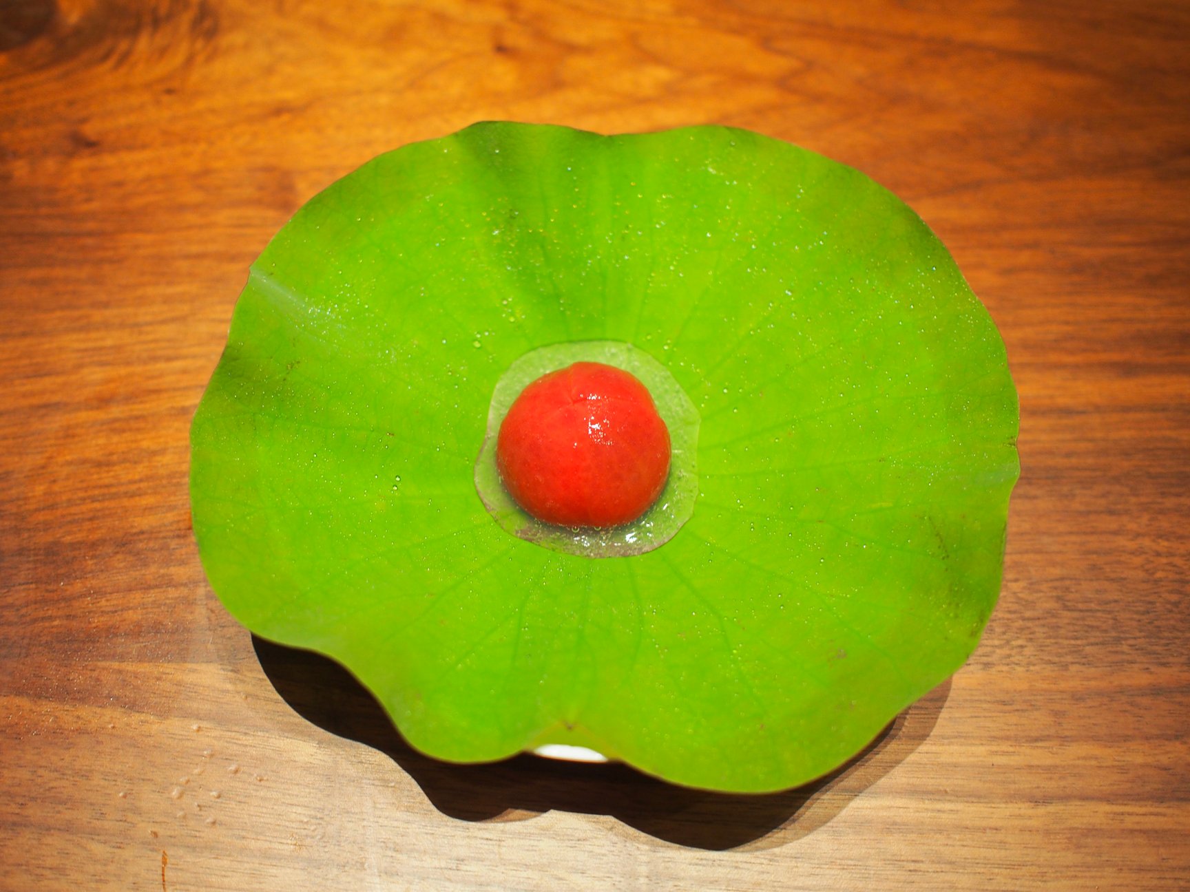 大自然の中で気持ちがととのう一軒家「NOT A HOTEL NASU」