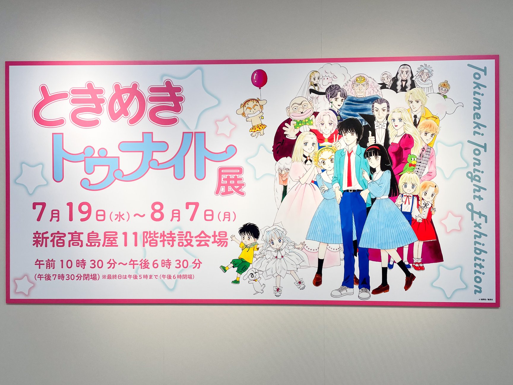展示の様子