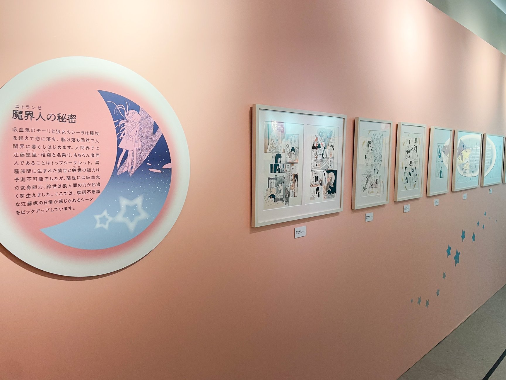 展示の様子