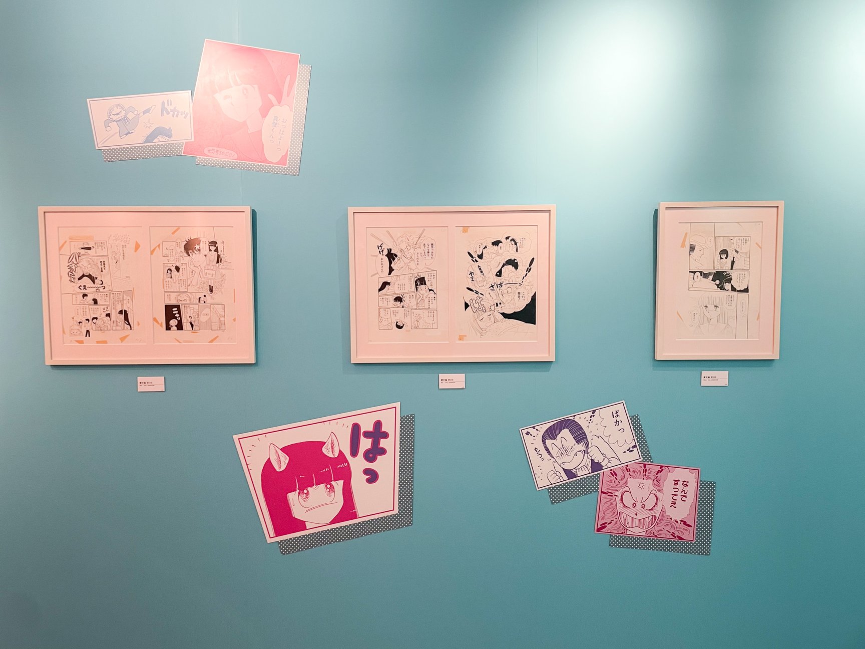 展示の様子