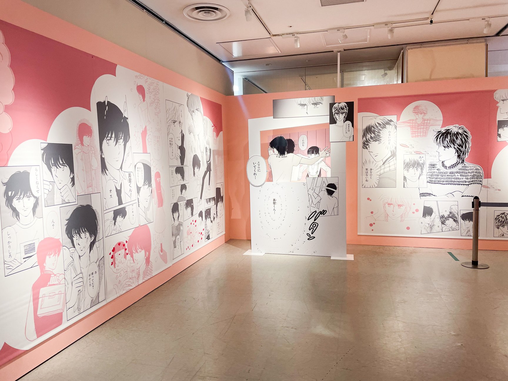 展示の様子