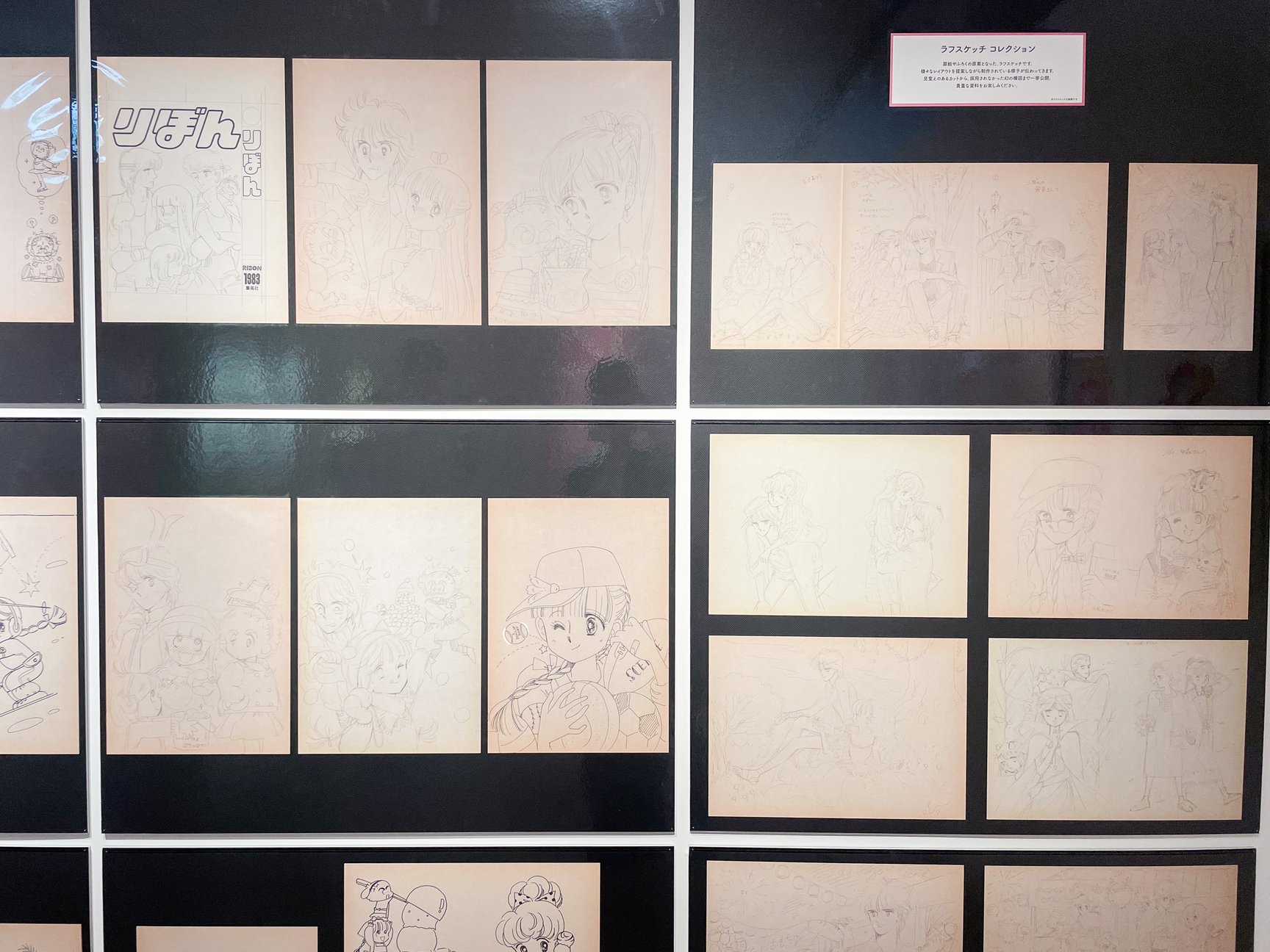 展示の様子