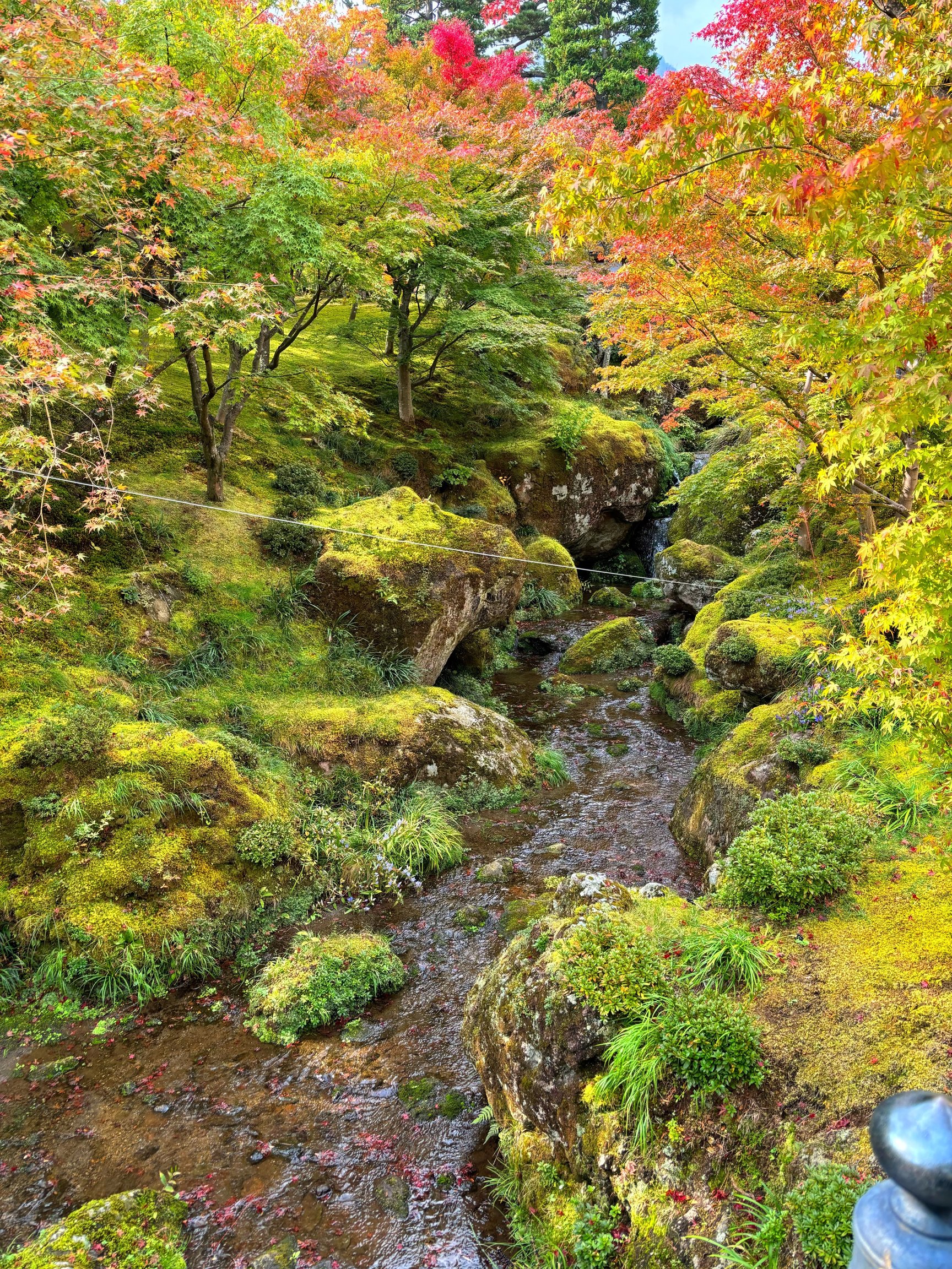 Apple Watch Series 9を使って撮影した写真