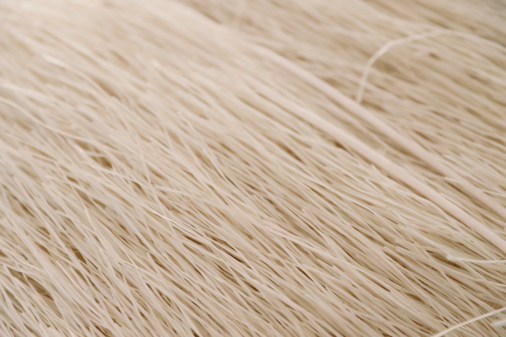 JACQUEMUS ե󥸥ɥ쥹 ƽä