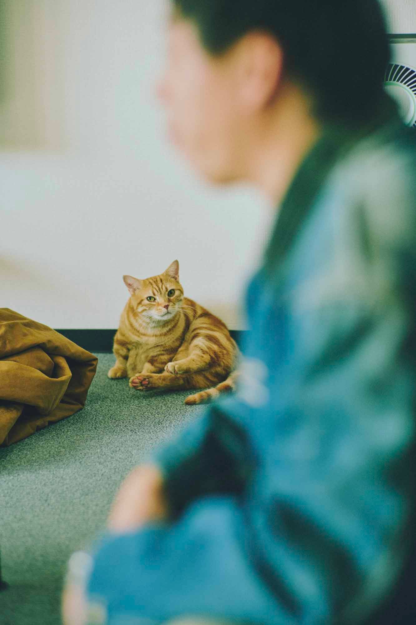 森田を起用したルック