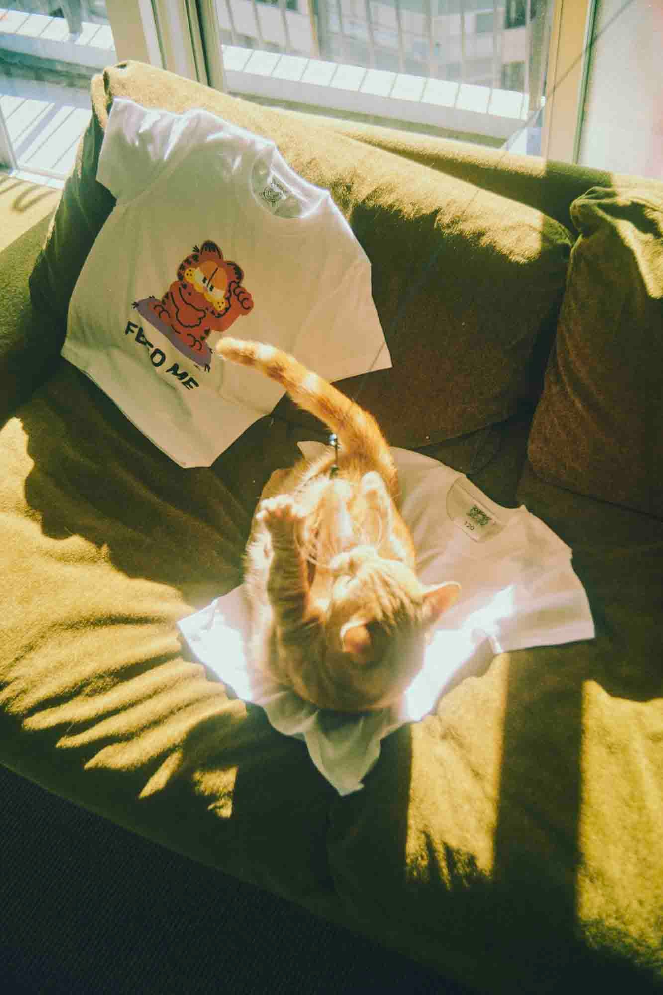 森田を起用したルック