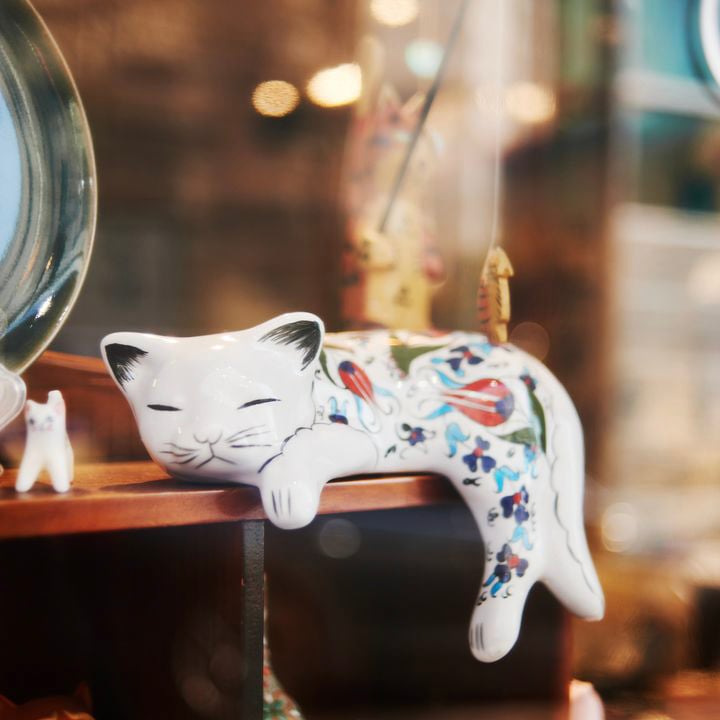 cat allergy shopの店内の画像