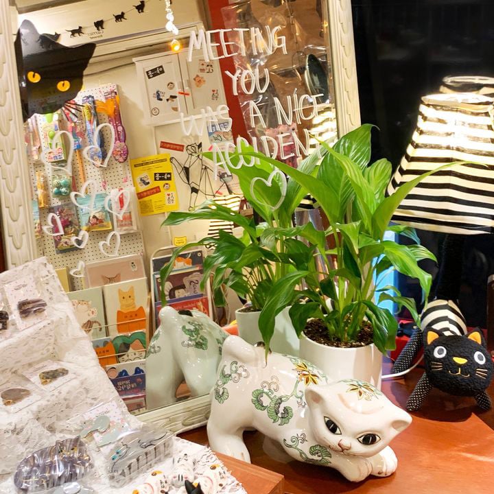 cat allergy shopの店内の画像