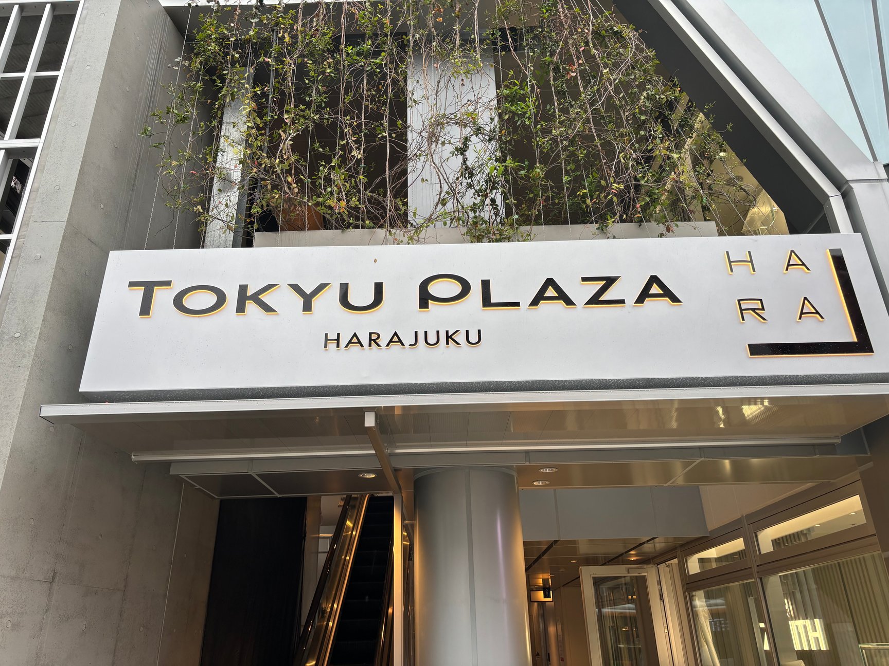神宮前の新商業施設「ハラカド」が初公開