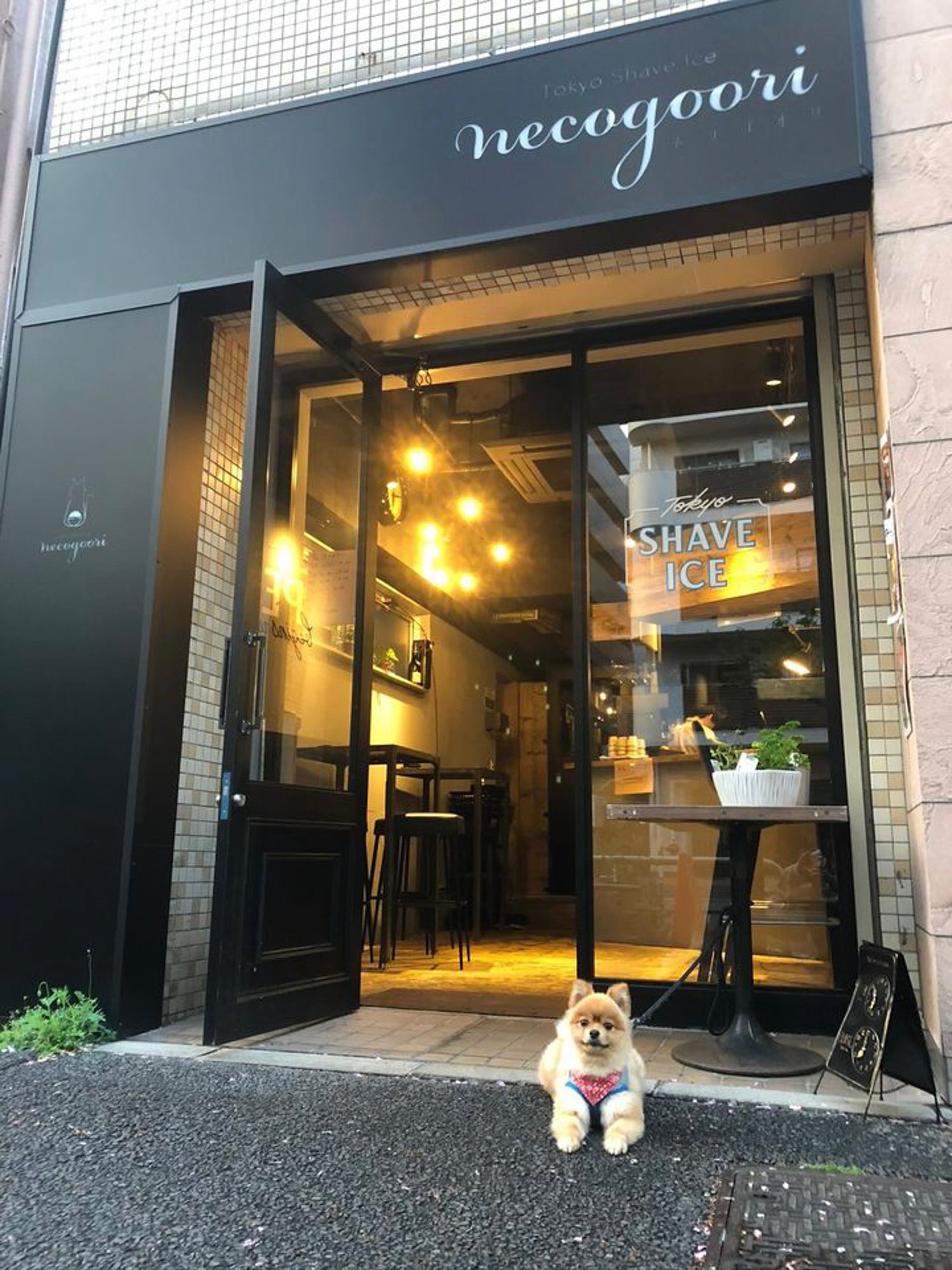 「トウキョウシェイブアイス ネコゴオリ」店舗外観画像