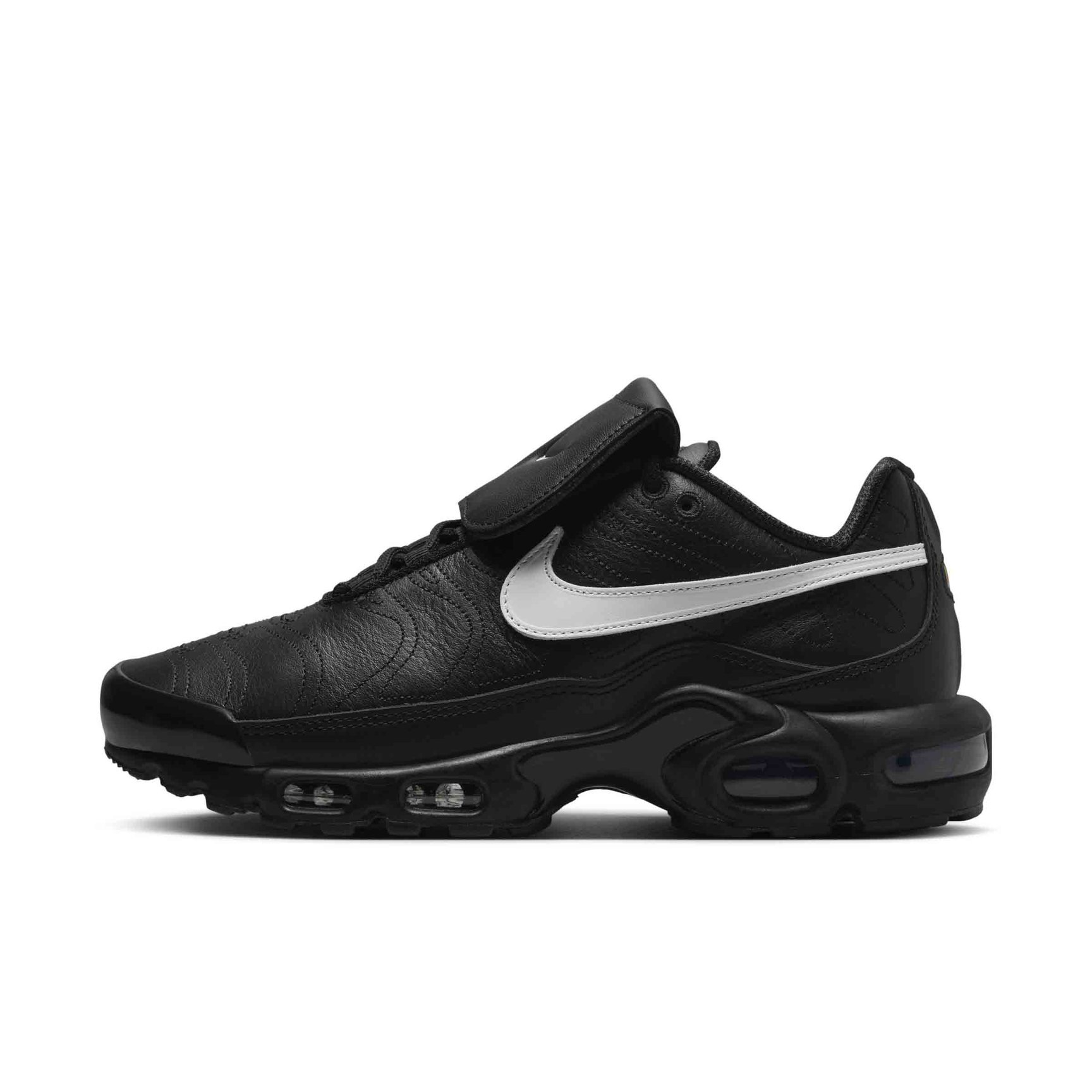 Nike Air Max Plus tiempo ティエンポ Nike Air Max Plus Tiempo エアマックス プラス ティエンポ