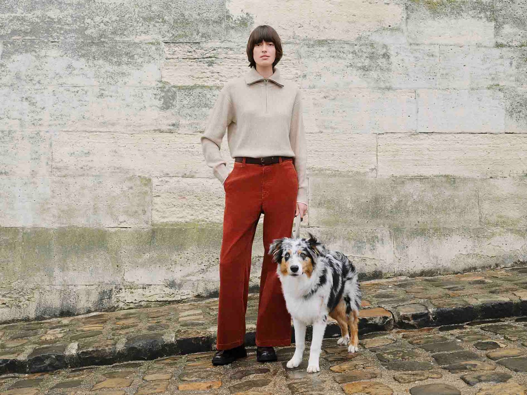 ヴィジュアル画像