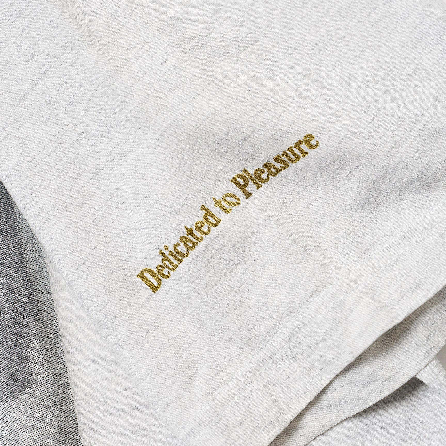 ハーゲンダッツのフォトTシャツプリントディティール