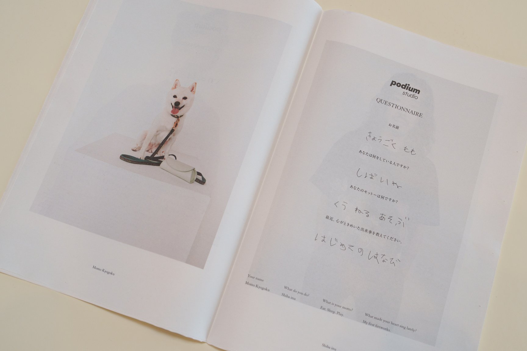 ジルサンダーのアイコンバッグ「カンノーロ」 インスタレーション