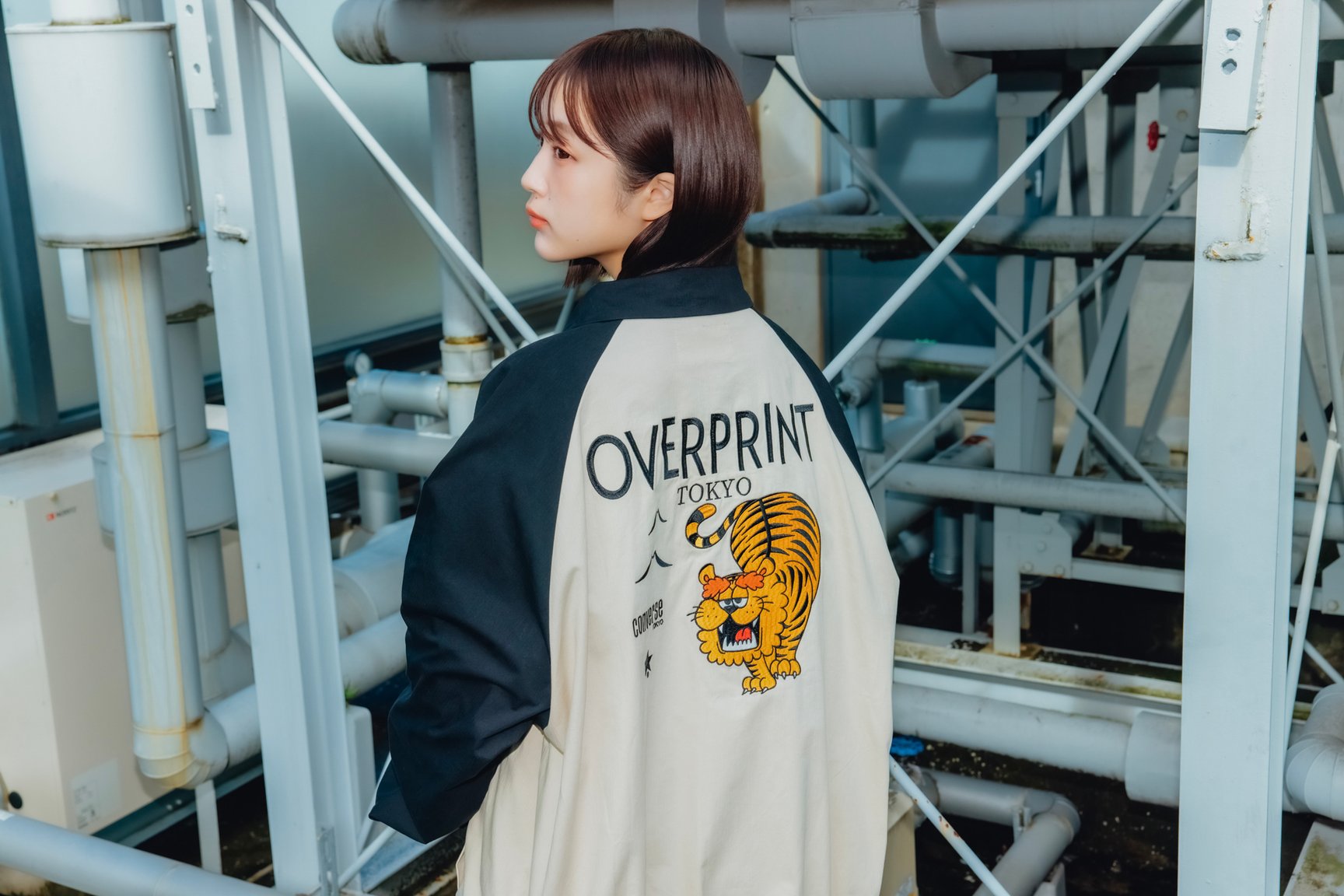 ヴィジュアル画像