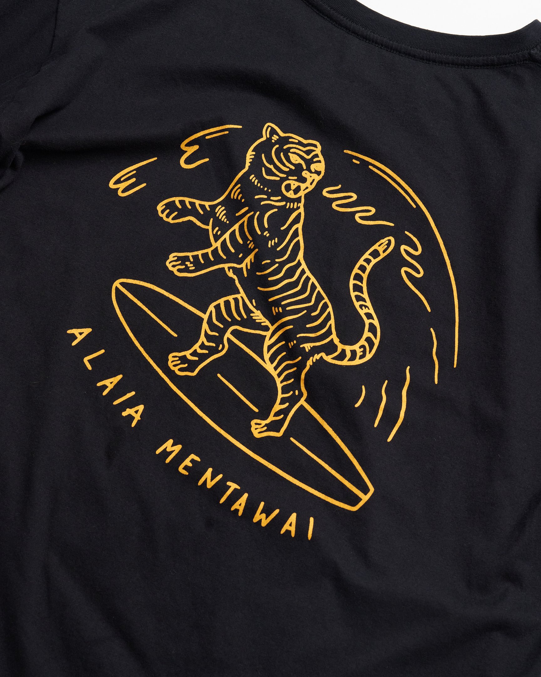 アライアメンタワイのTシャツ