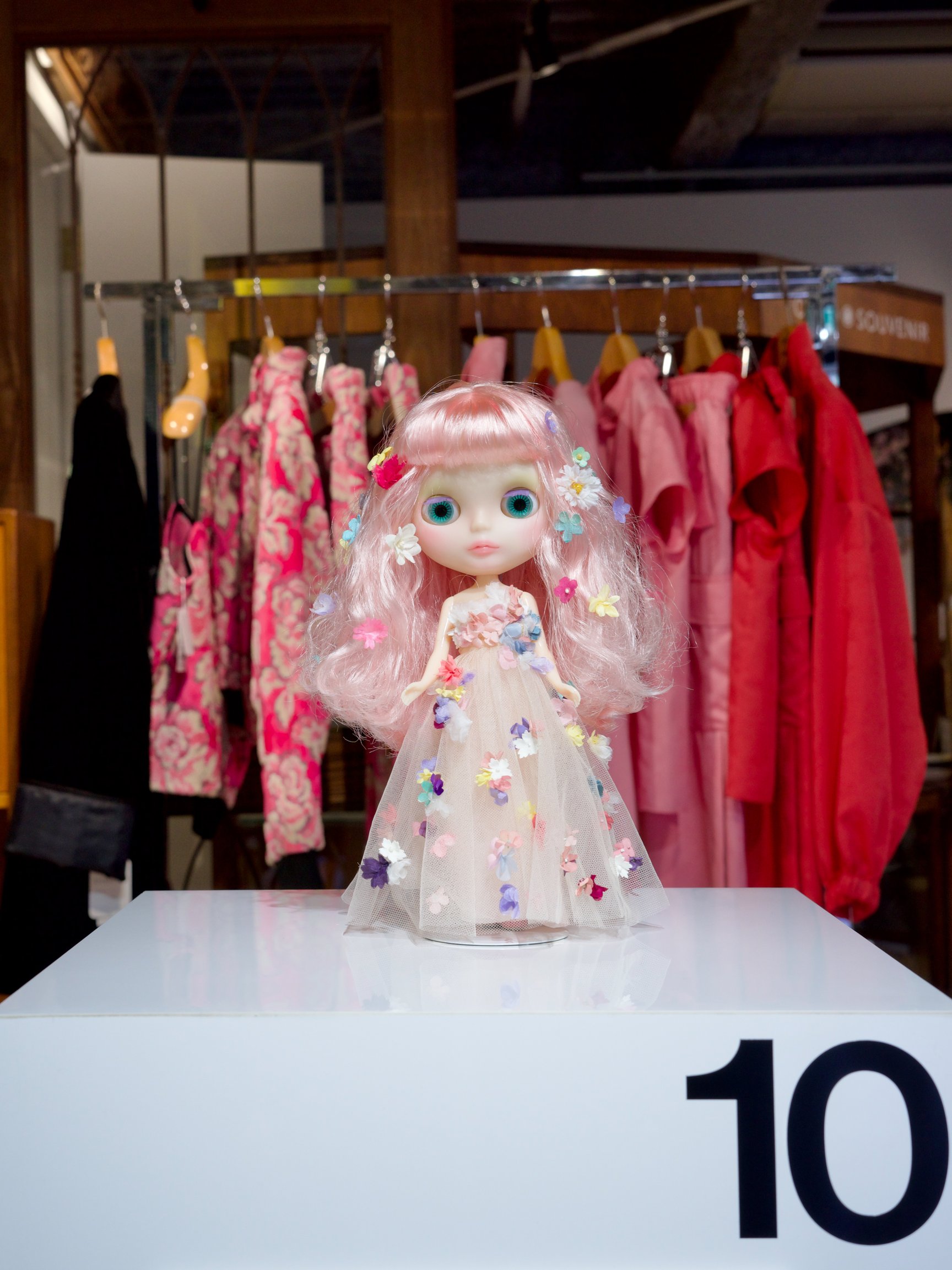 展示されているブライス