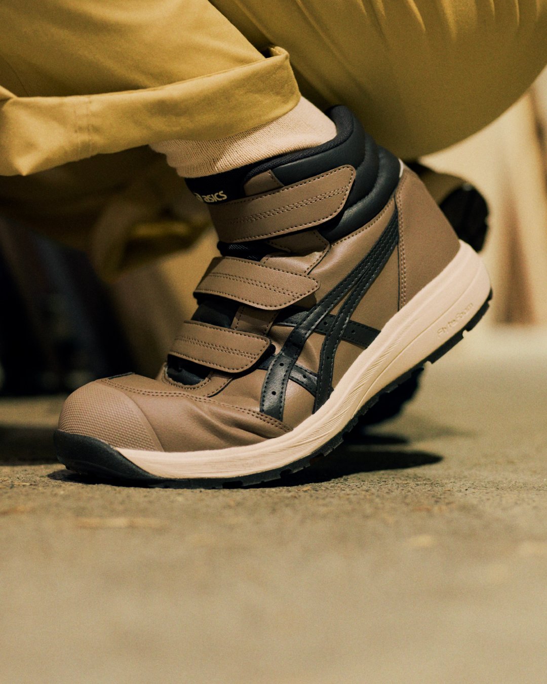 ヴィジュアル画像