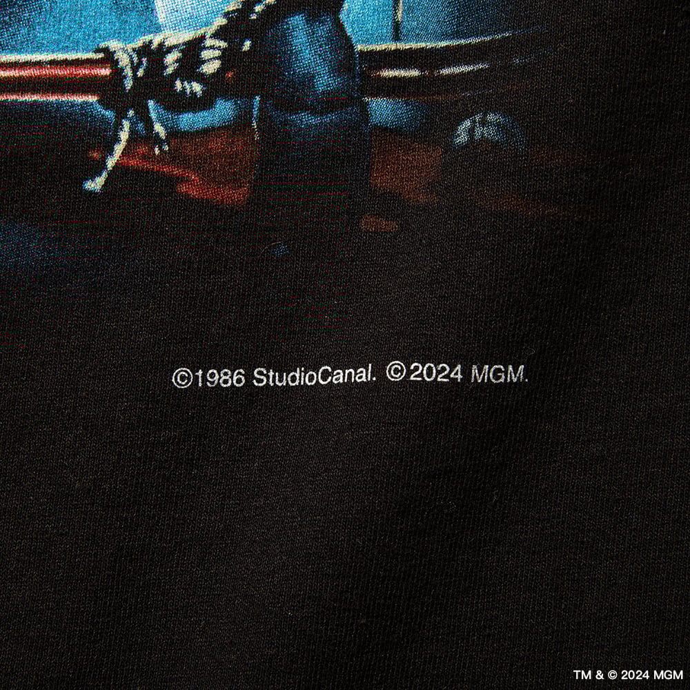 ƥ໭