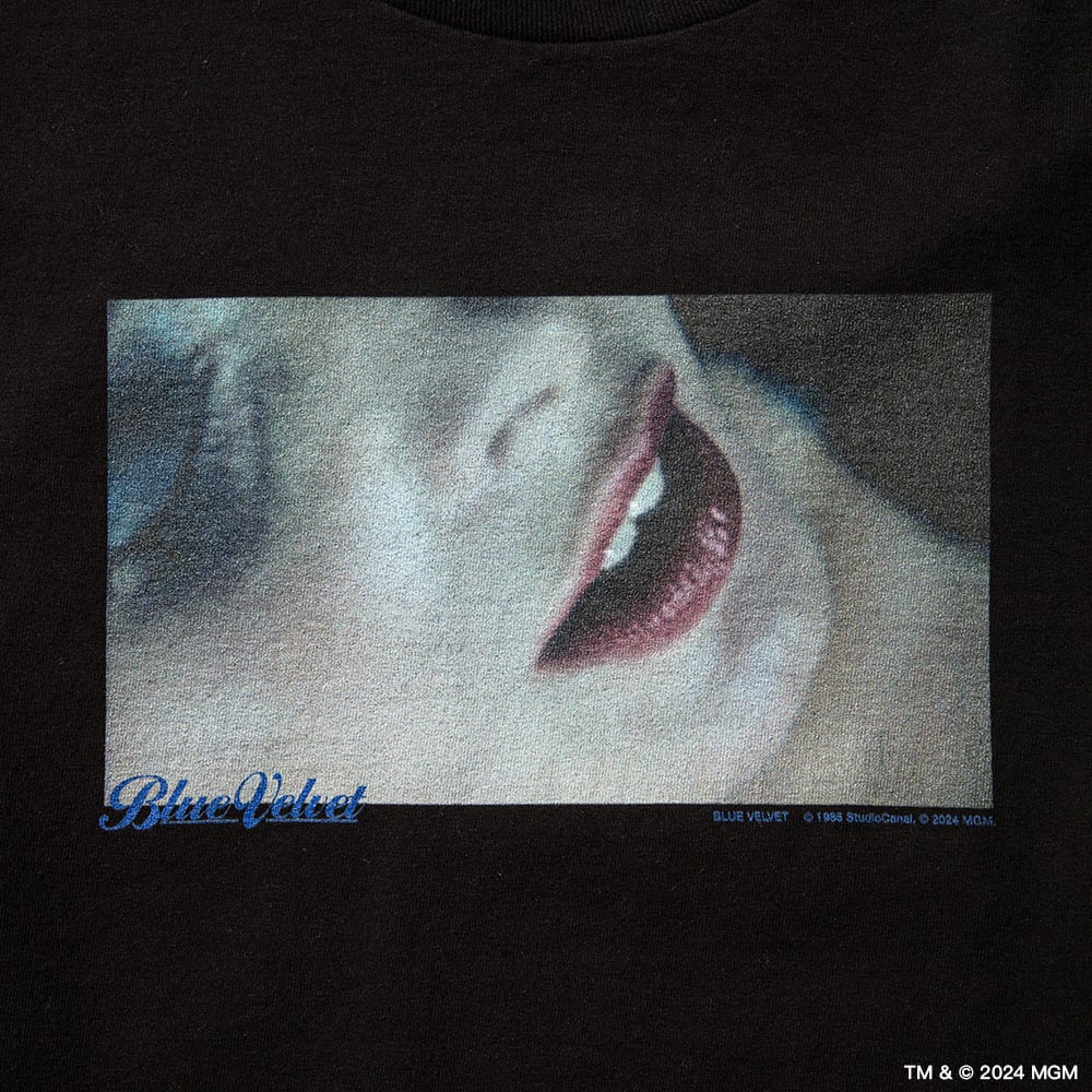 ƥ໭