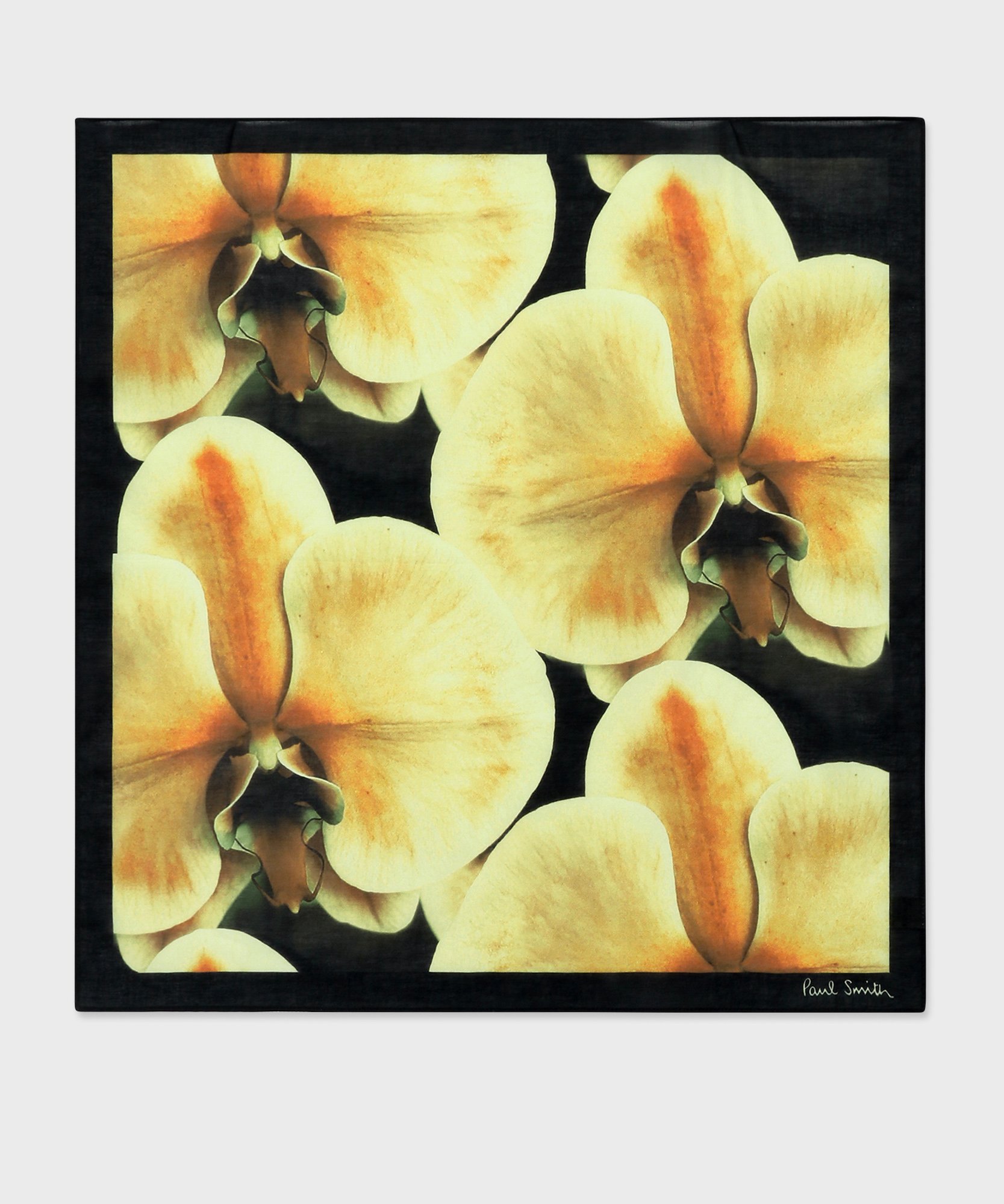 イエローのスカーフ