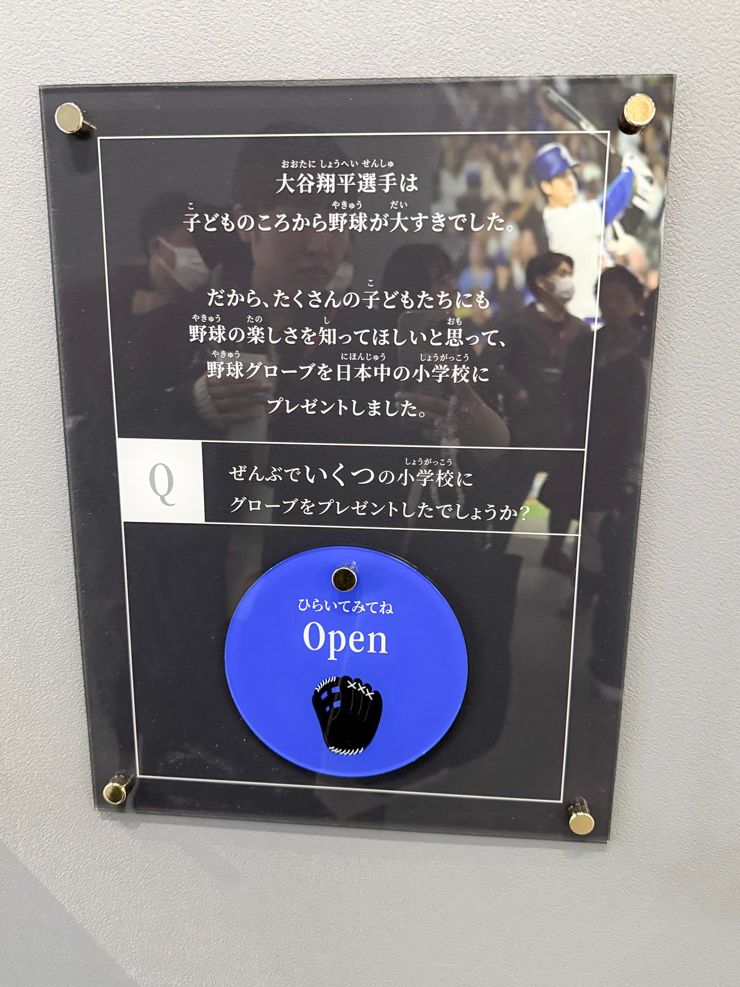 会場内のコンテンツ