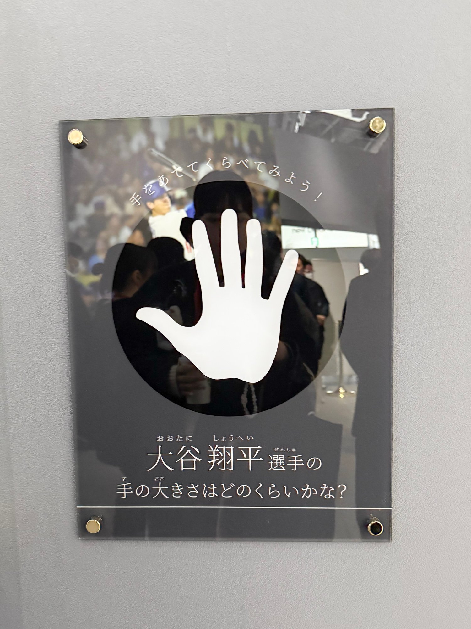 会場内のコンテンツ