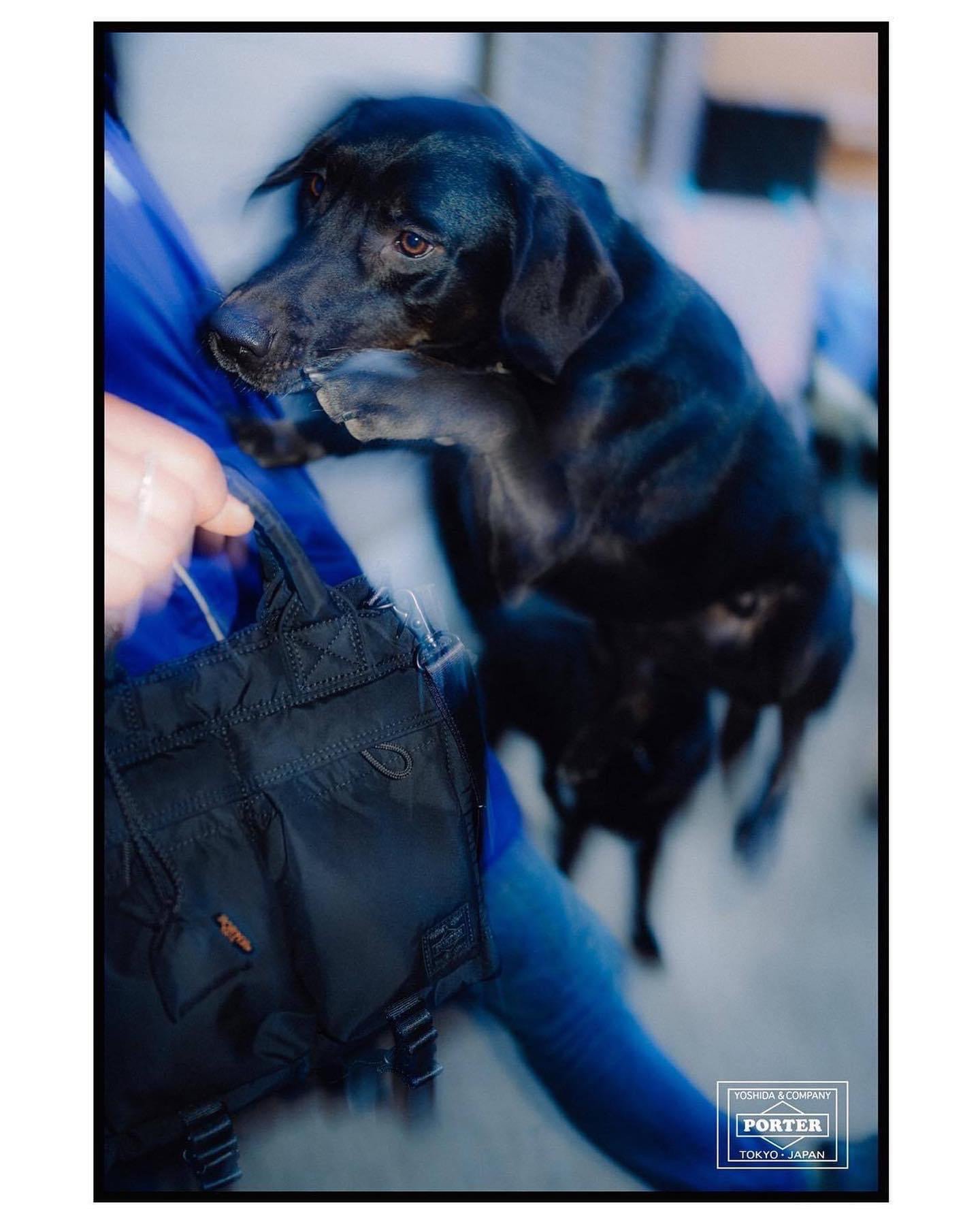 「SENSES」visual image