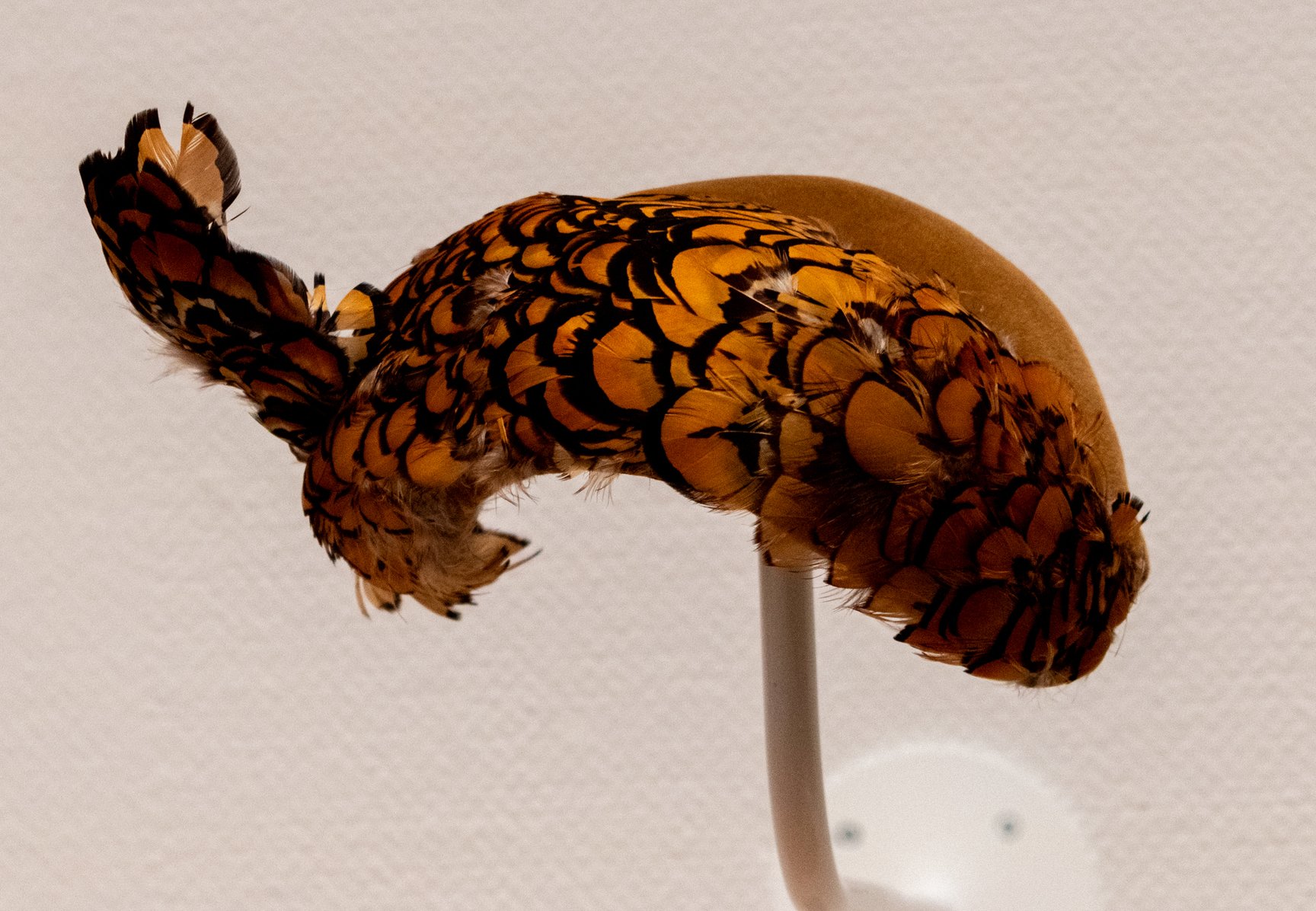 LOVEファッション─私を着がえるとき