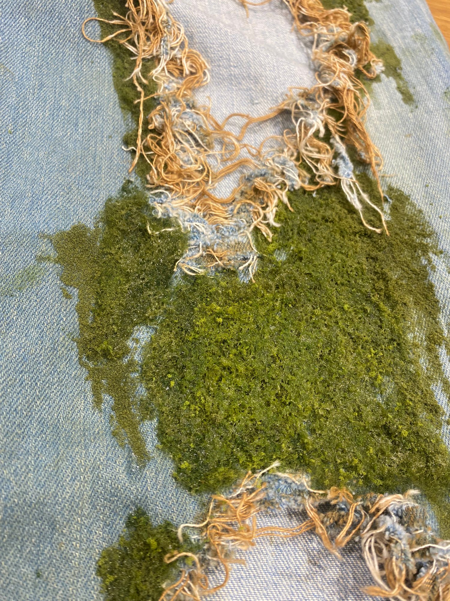 苔をあしらったジーンズ