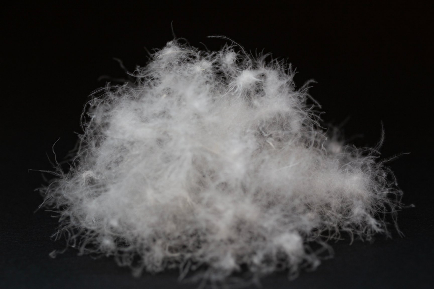 スタンダードダウン(STD)