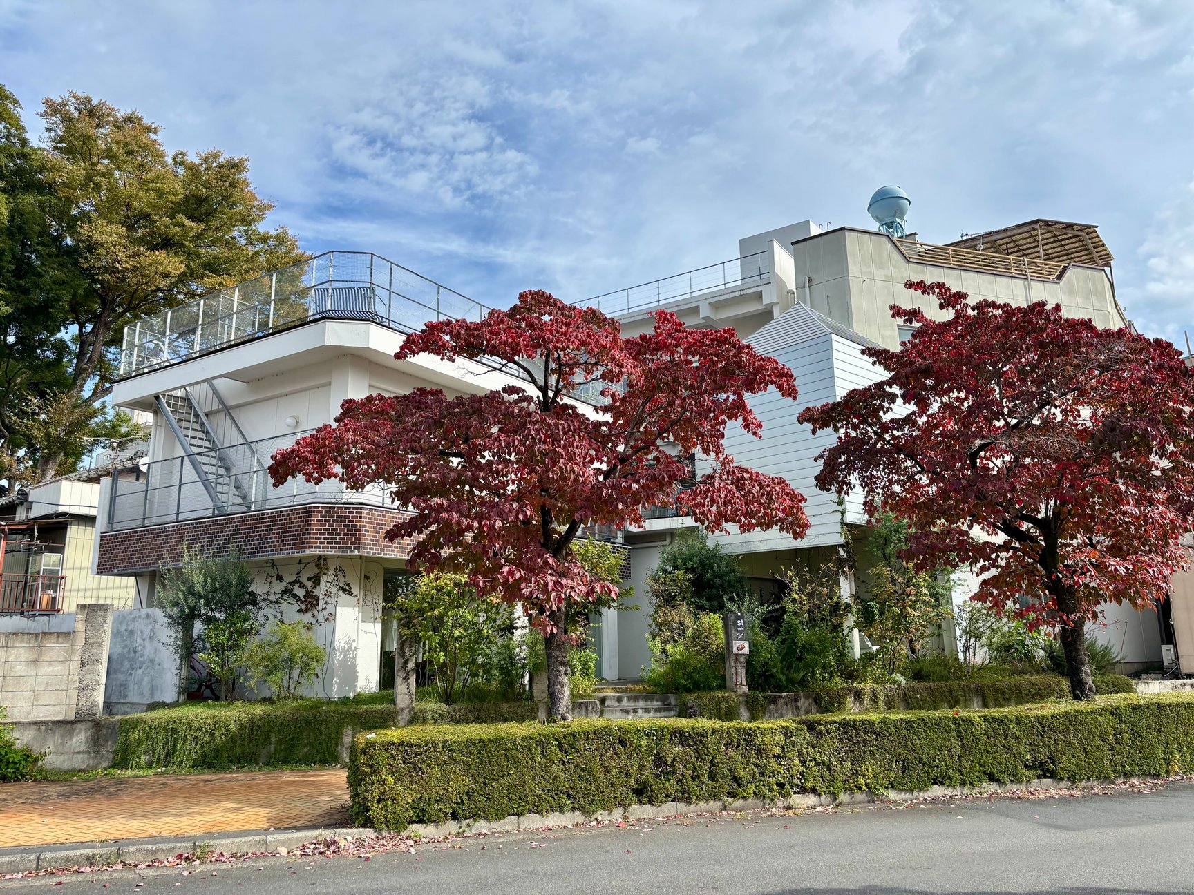 エスティーカンパニーの外観や内観画像